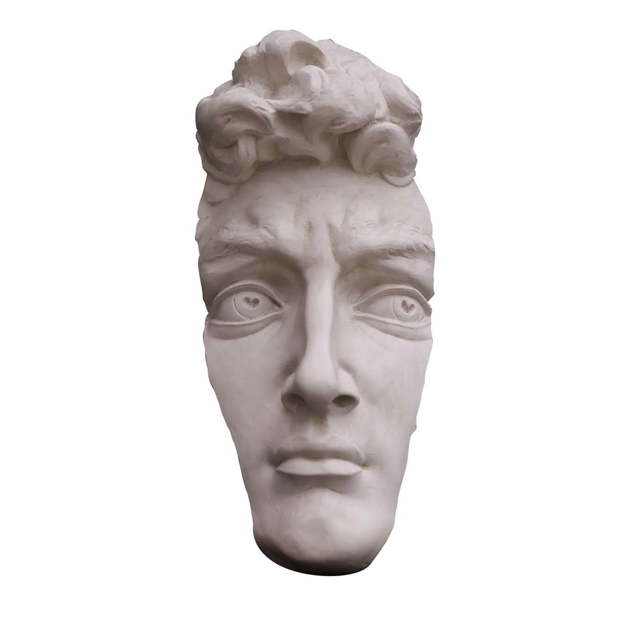 Le profil de la sculpture de David - Vue principale