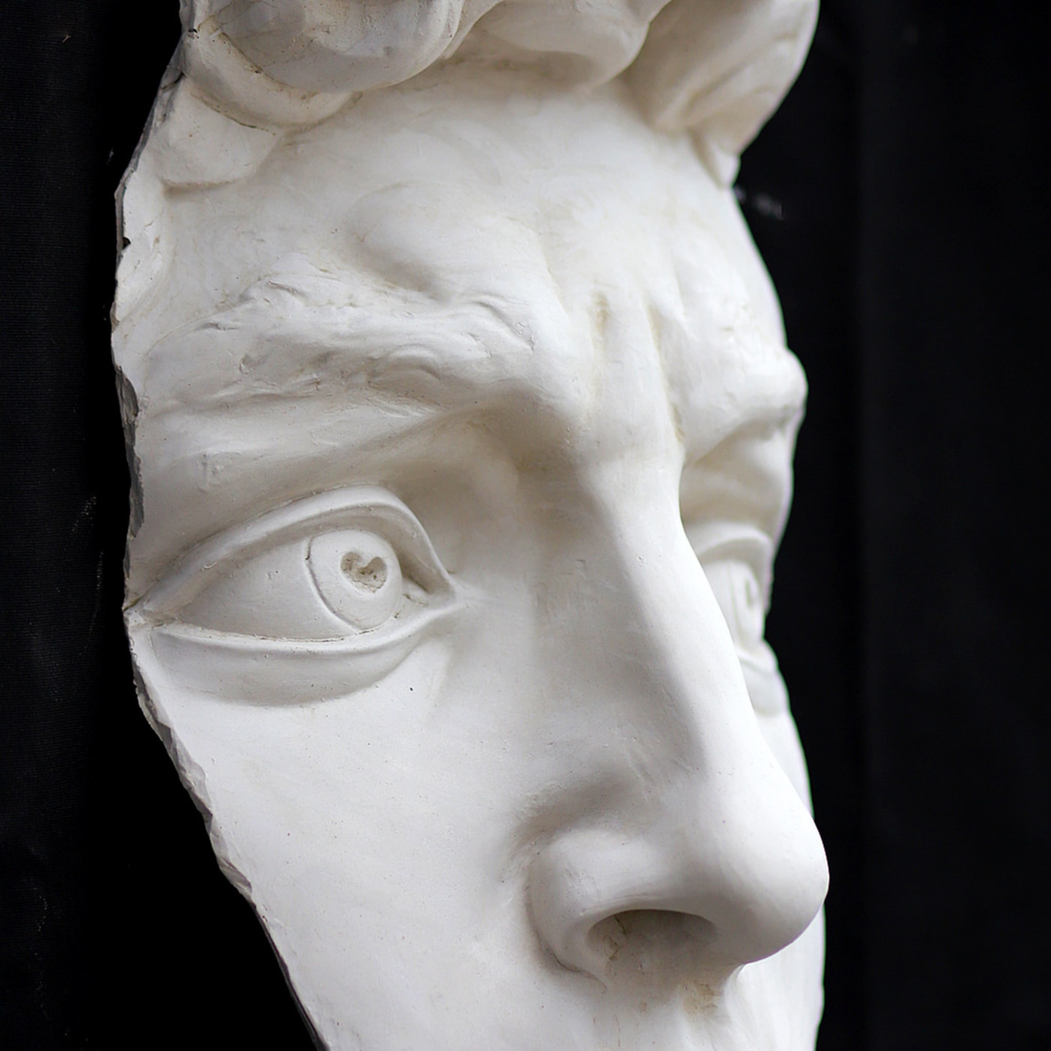 The Profile Of David Sculpture - Alternative view 1