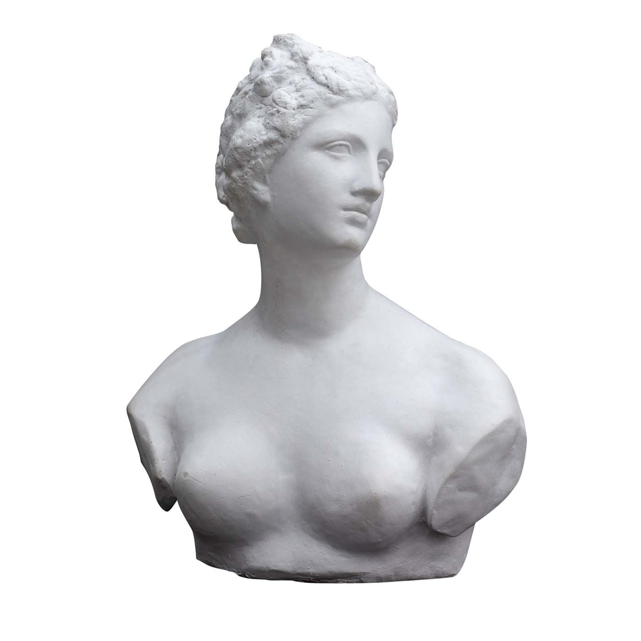 Die Venus de' Medici-Skulptur - Hauptansicht