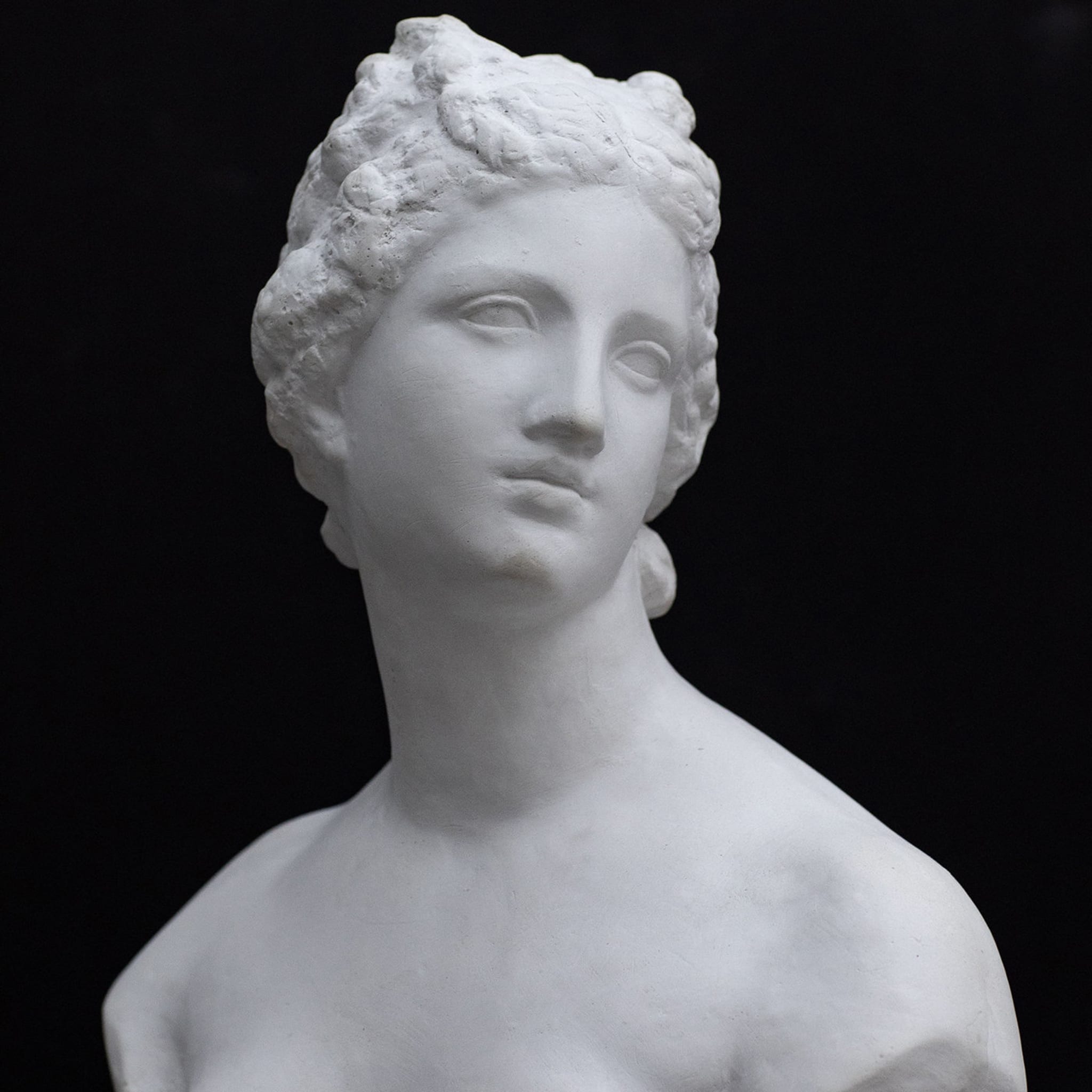 The Venus De' Medici Sculpture - Alternative view 2