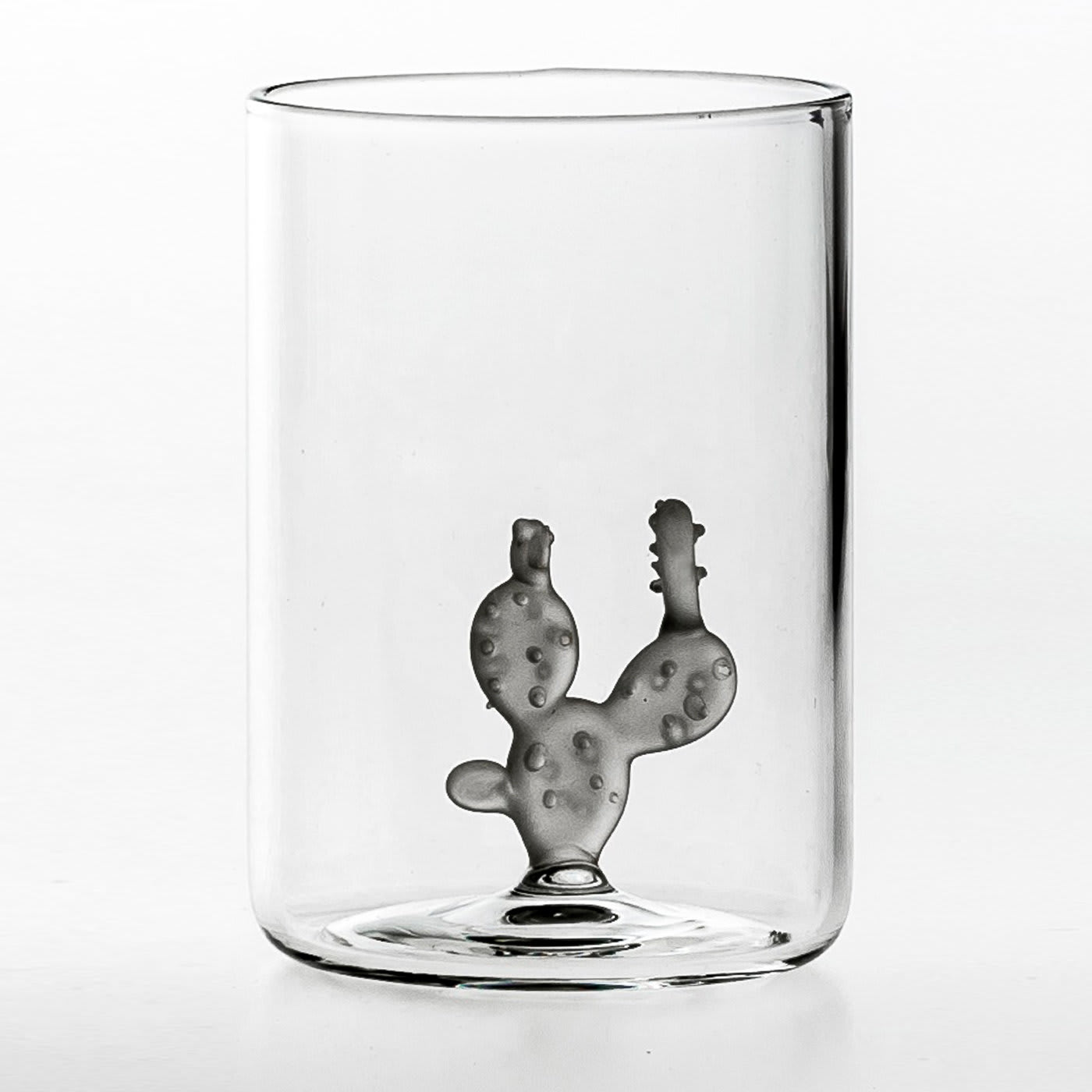 Set of 4 Glasses and 1 Jug Cactus Collection - Casarialto