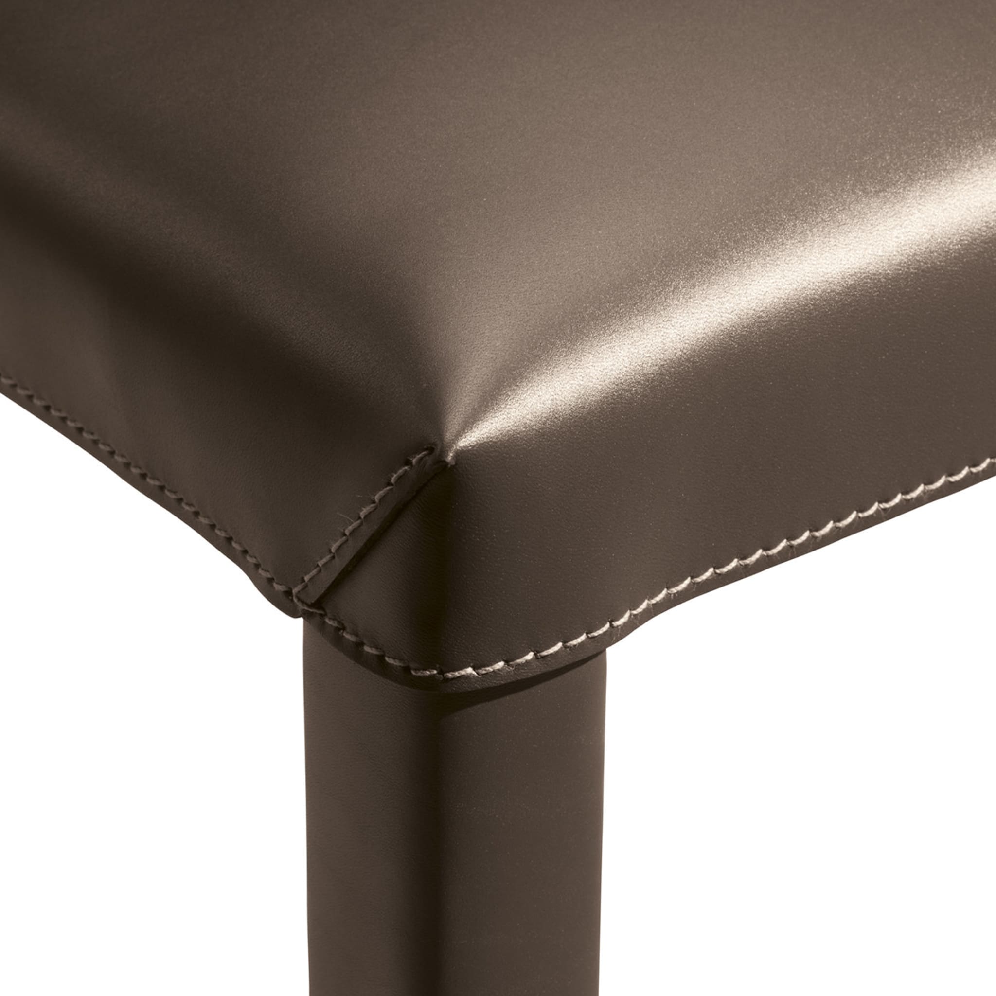 Trama Brown Leather Chair - Alternative view 2