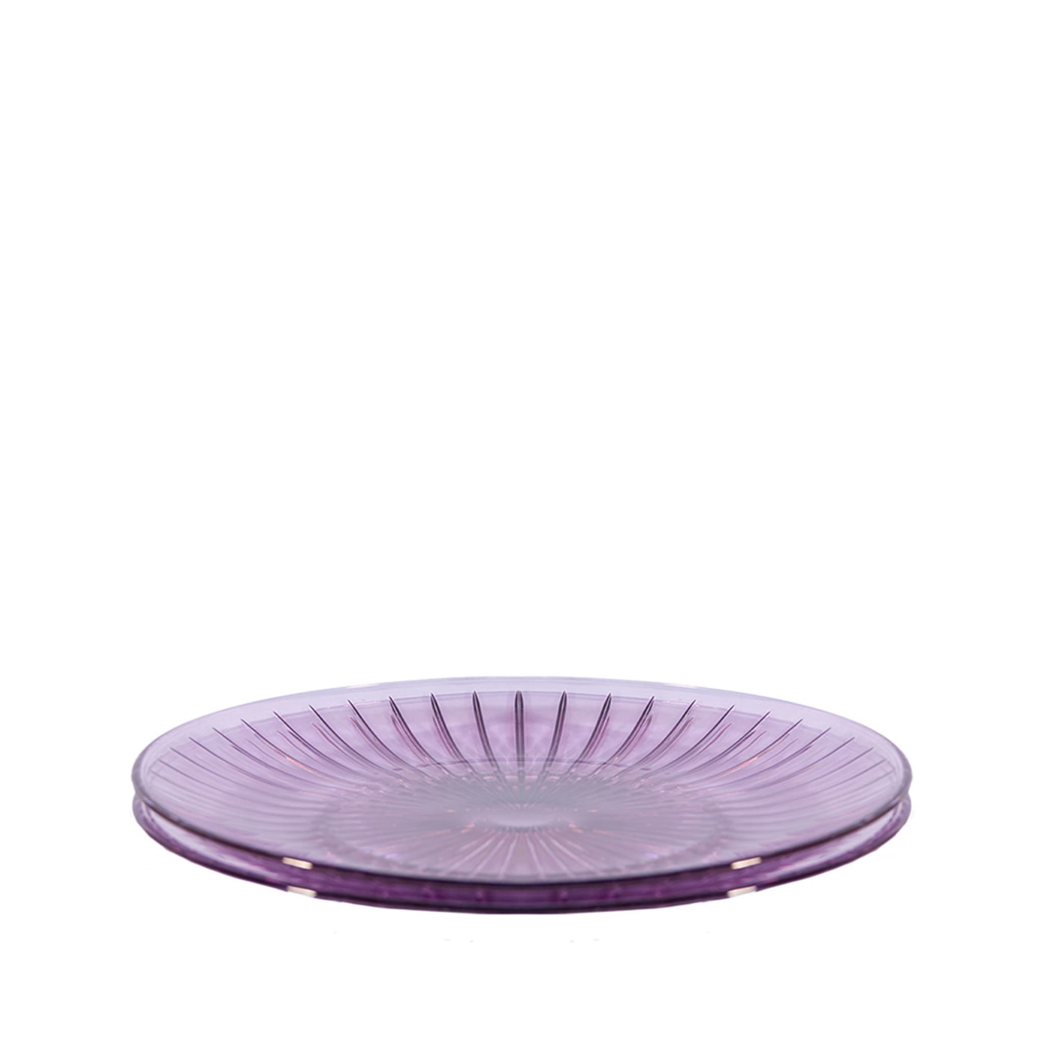 Prestige Set of 2 Purple Dinner Plates - Alternative view 1