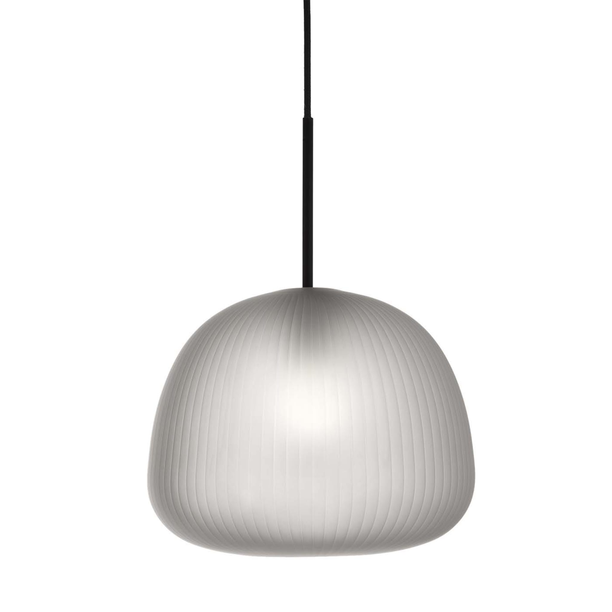 Bes Frosted Glass Pendant Ceiling Light - Main view