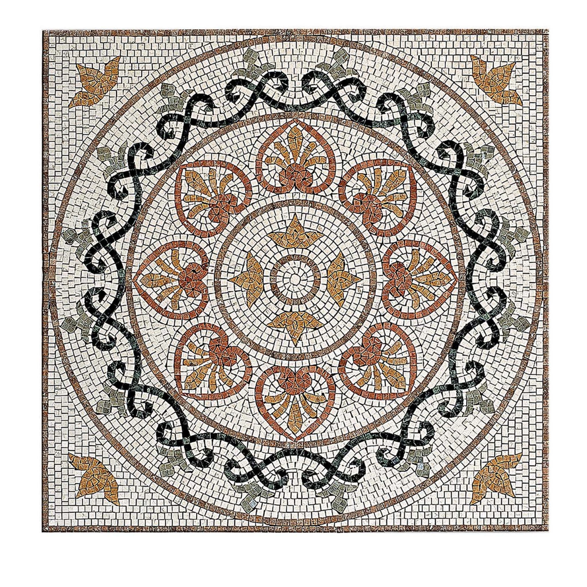 Mosaico di Zante - Vista principale