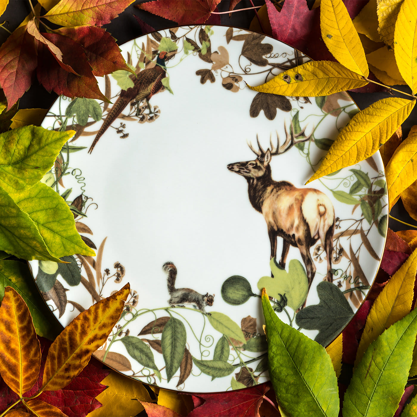 Mont Blanc Wildlife Dinner Plate Elk - Grand Tour by Vito Nesta