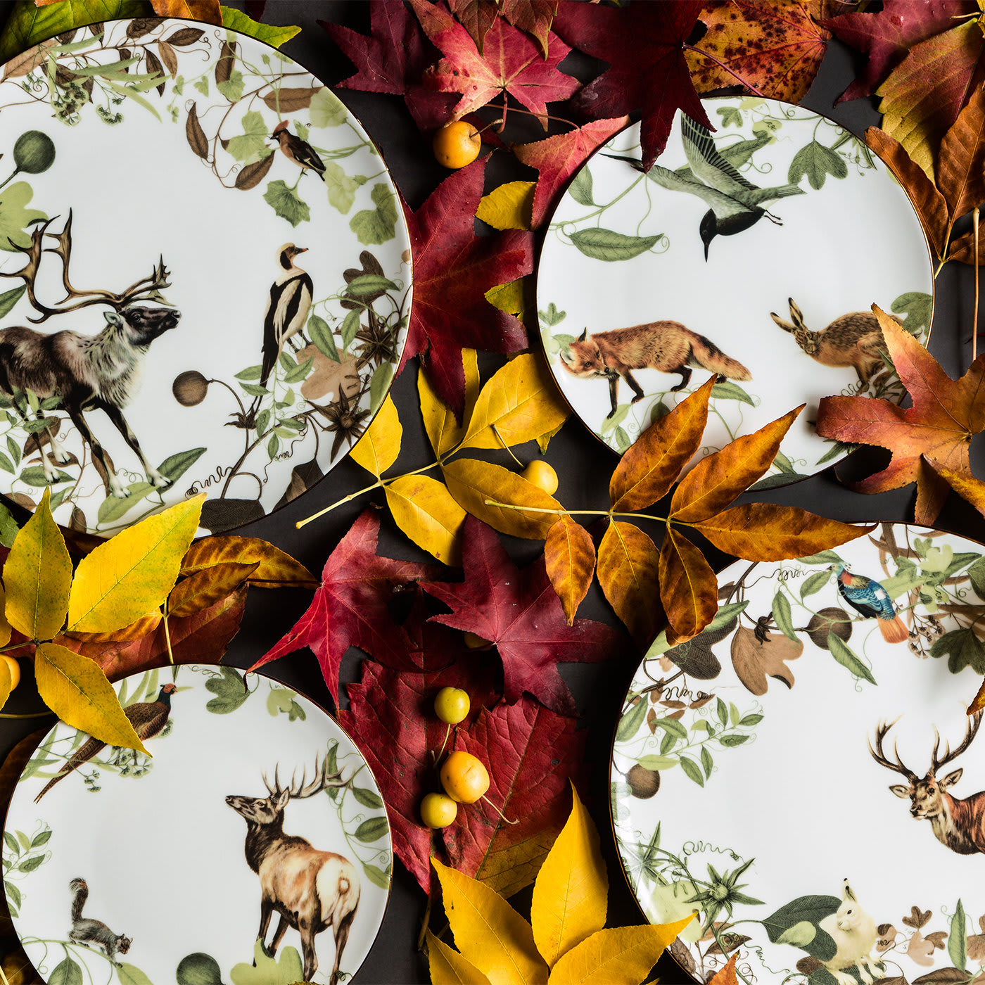 Wildlife dinnerware 2024