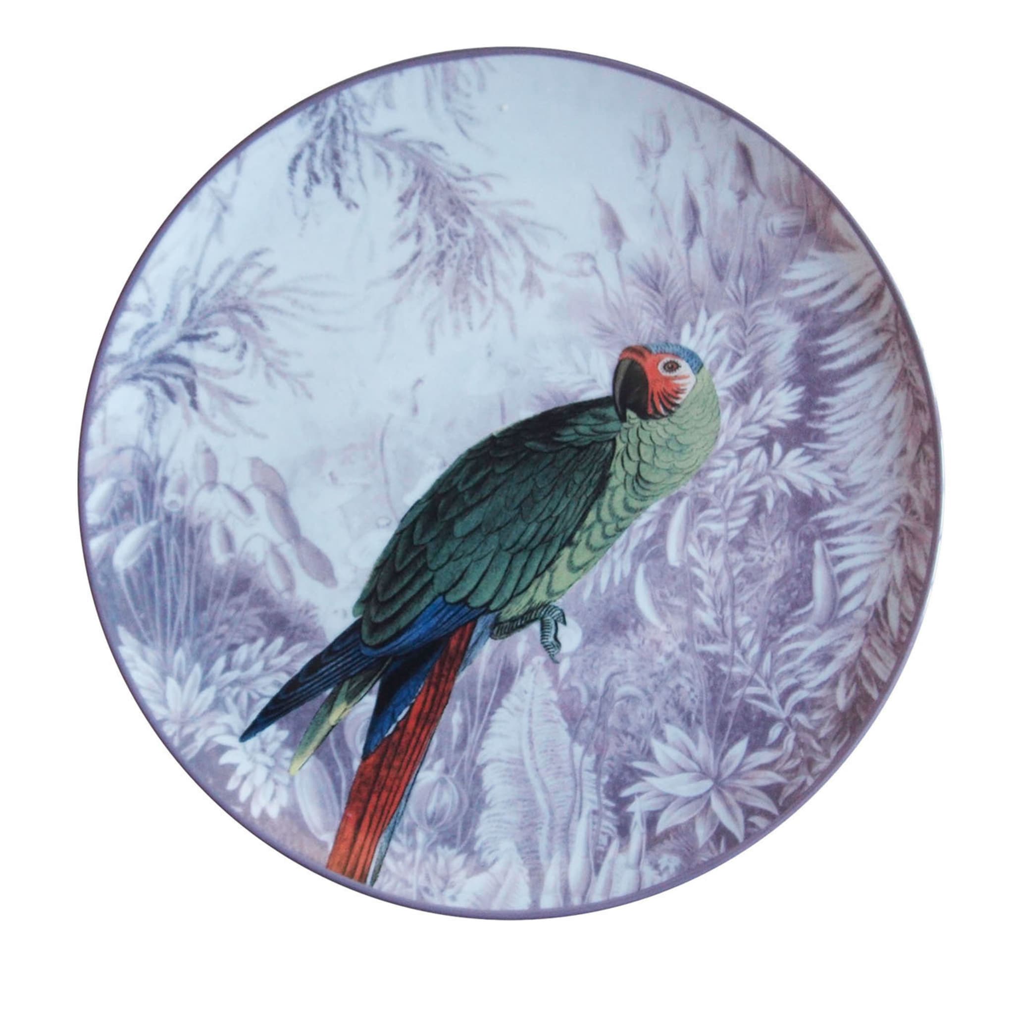 Plato de porcelana Ottomane Parrot Menagerie - Vista principal