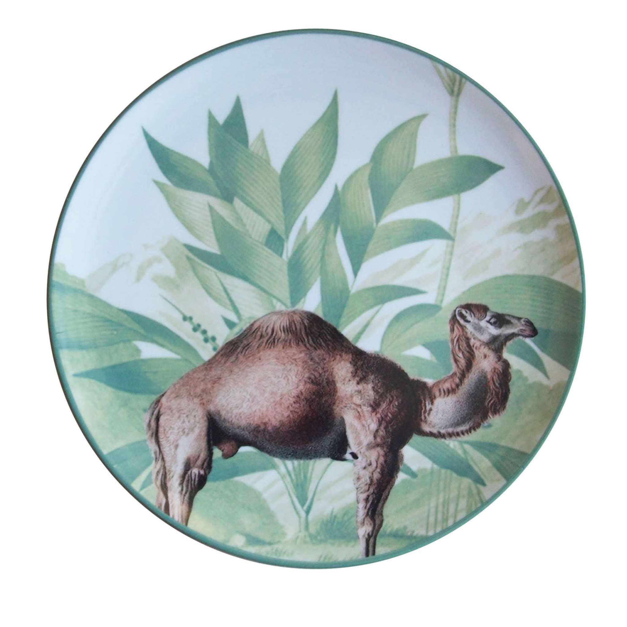 Lote de 2 platos de postre de porcelana Ottomane Camel Menagerie - Vista principal