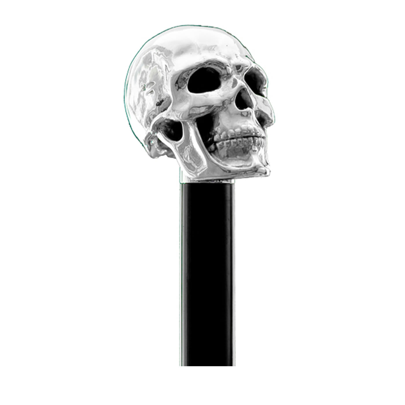 Skull Walking Stick Sticks - Artemest