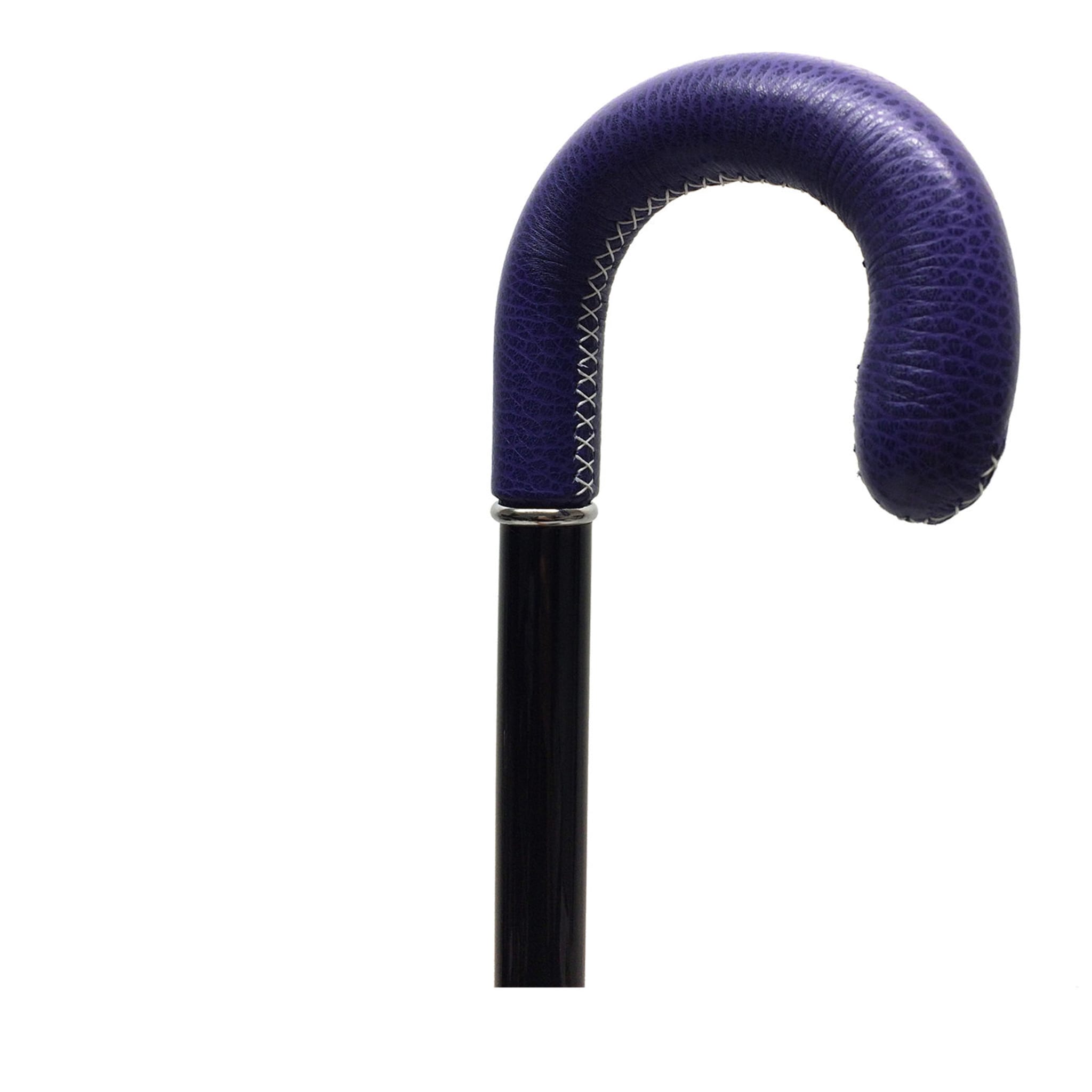 Purple Curve Handle Walking Stick - Main view