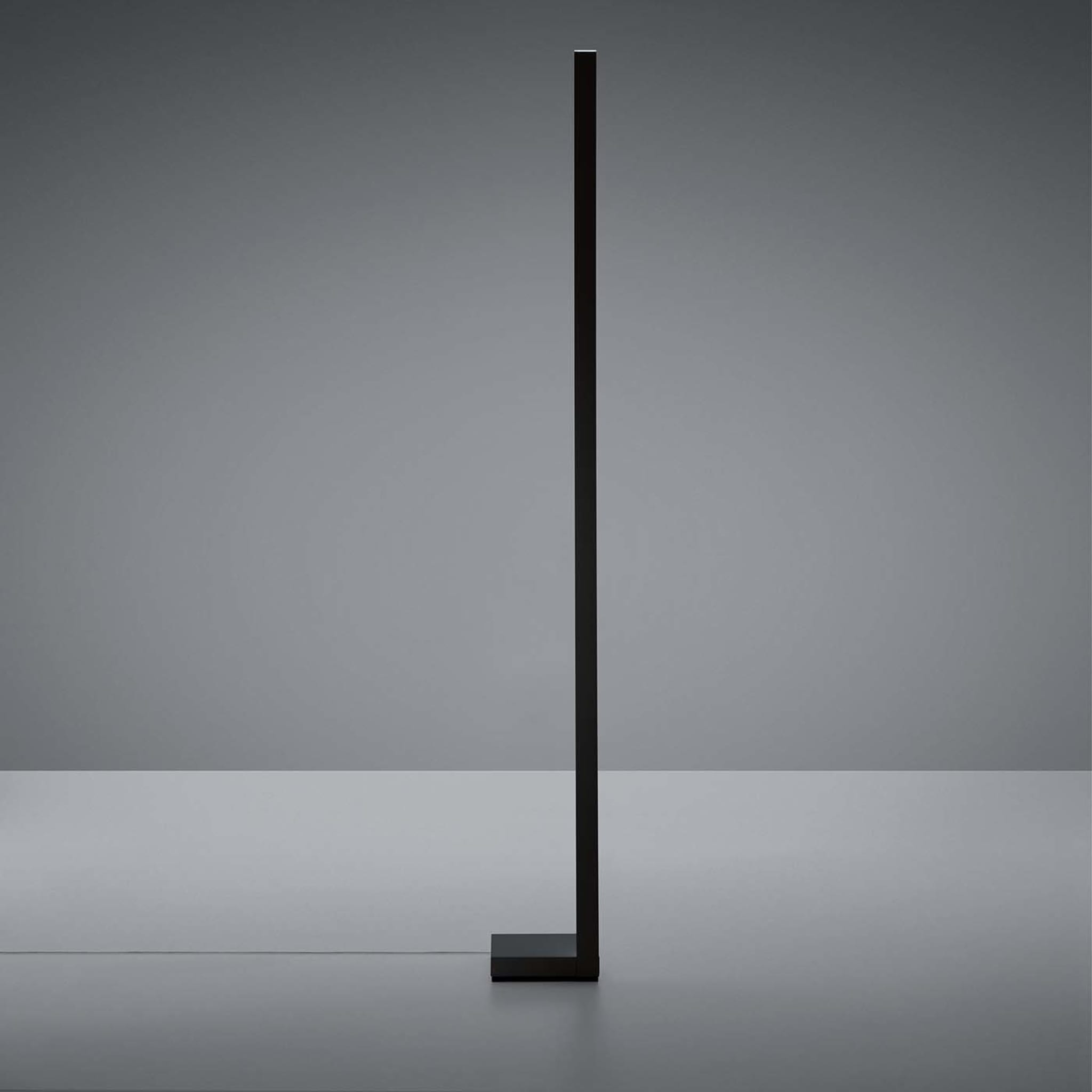 Pivot Antracite Floor Lamp by Vittorio Massimo - Alternative view 1