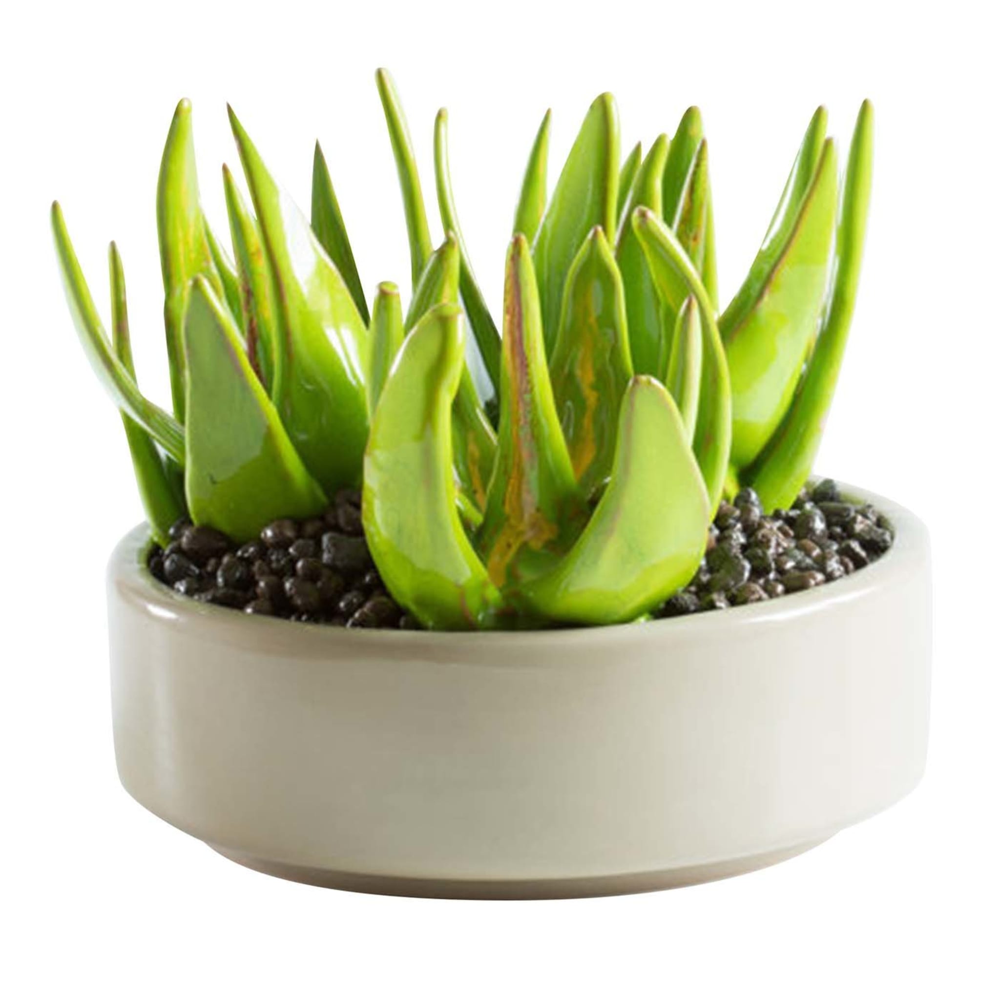 Aloe-Keramik-Pflanze d.22cm - Hauptansicht