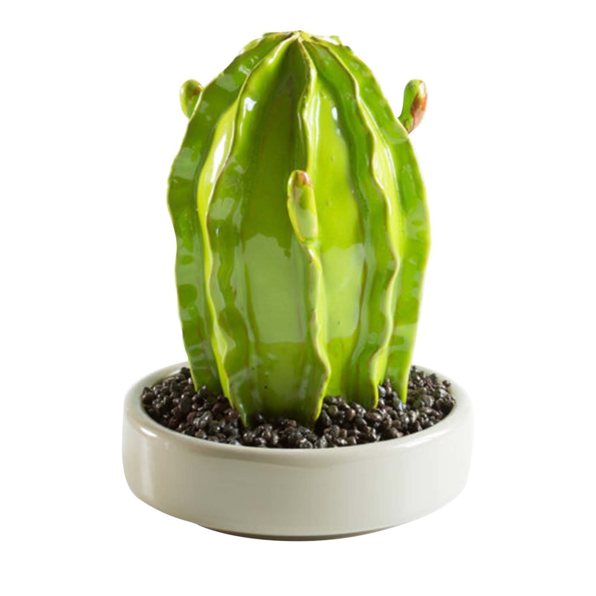 Planta de cerámica Euphorbia d.15 - Vista principal
