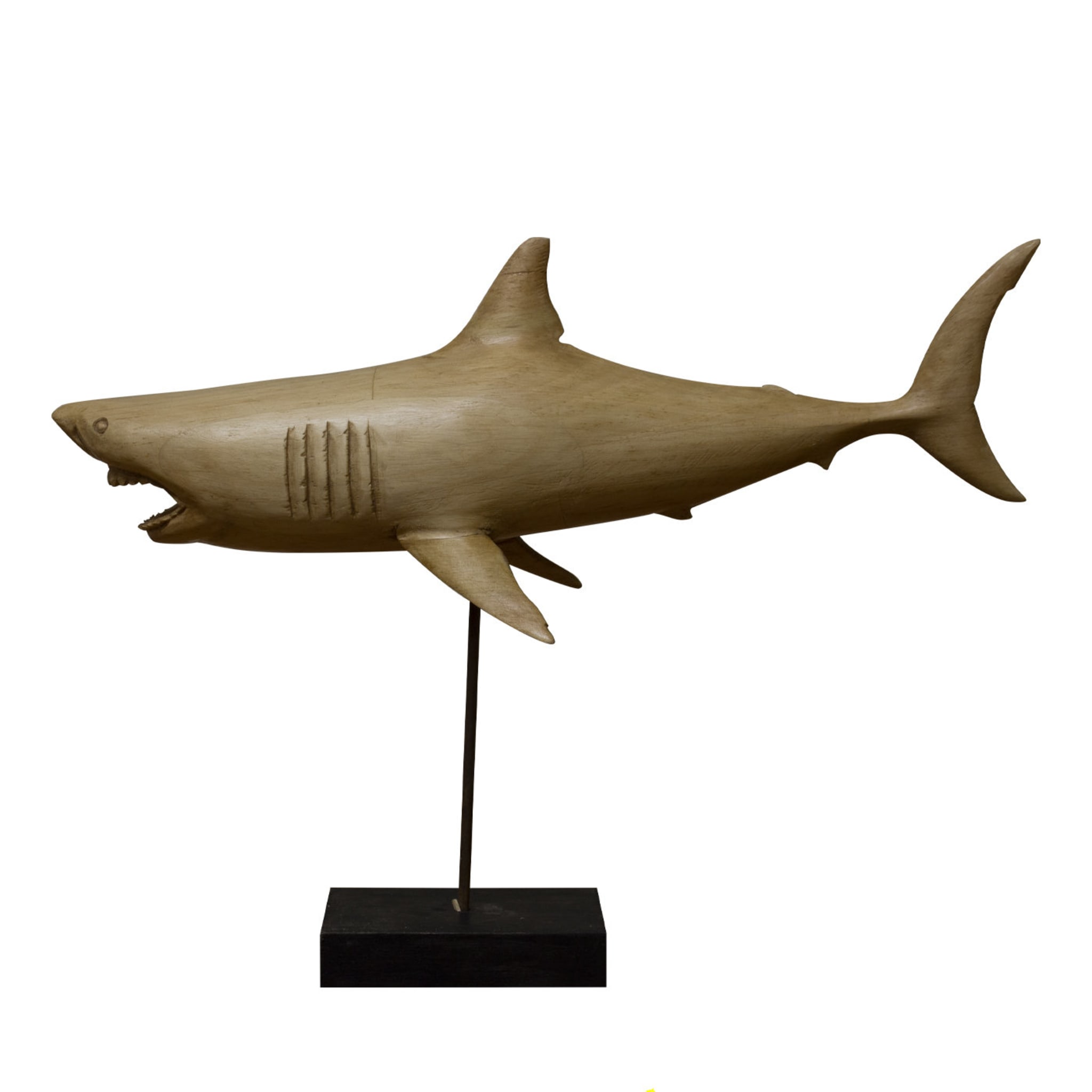 Pequeña escultura de tiburón - Vista principal