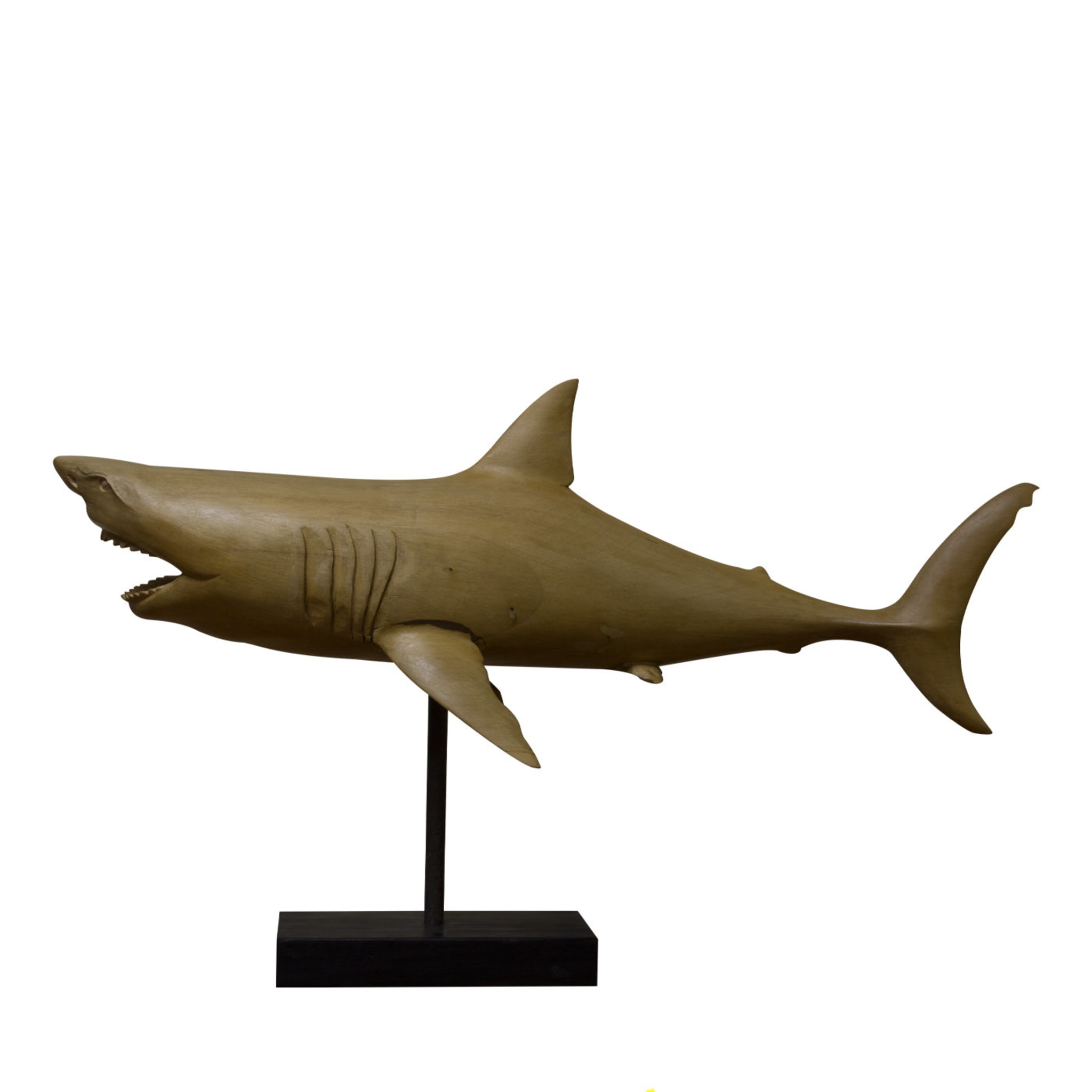 Sculpture de requin - Vue principale