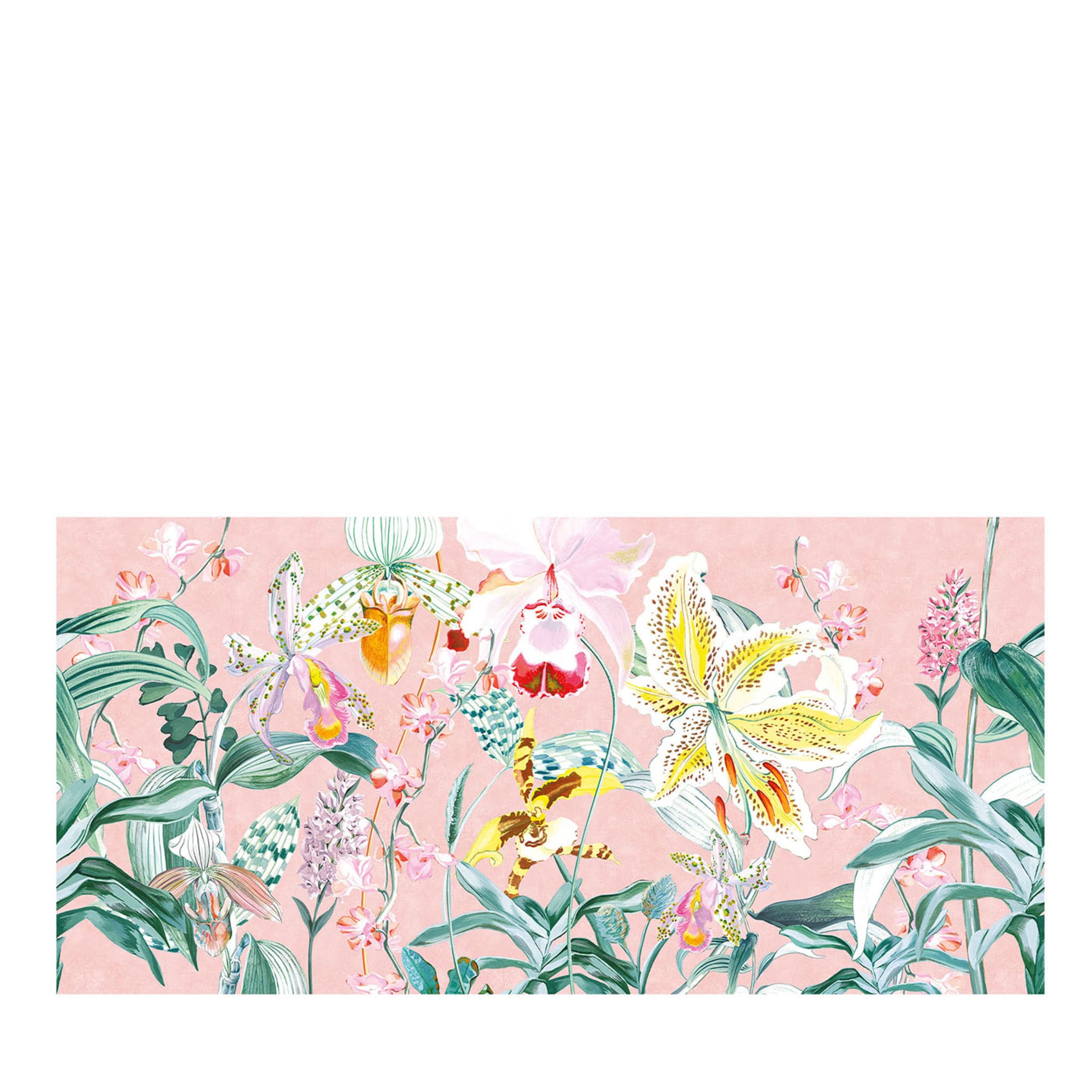 Rosa Orchidee Panorama Makrotapete Kollektion Camere - Hauptansicht