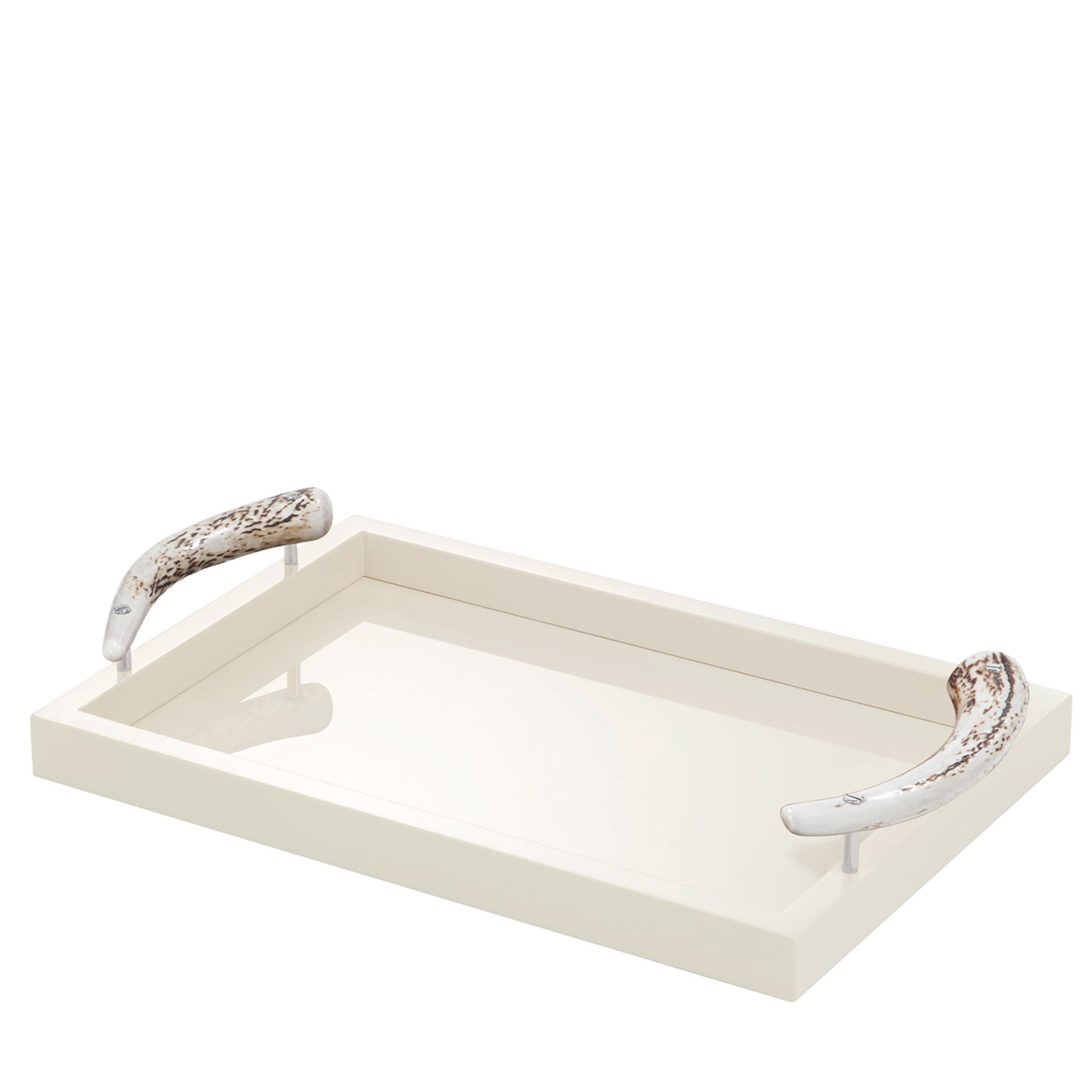 Dafne Lacquer Rectangular Tray Small - Main view