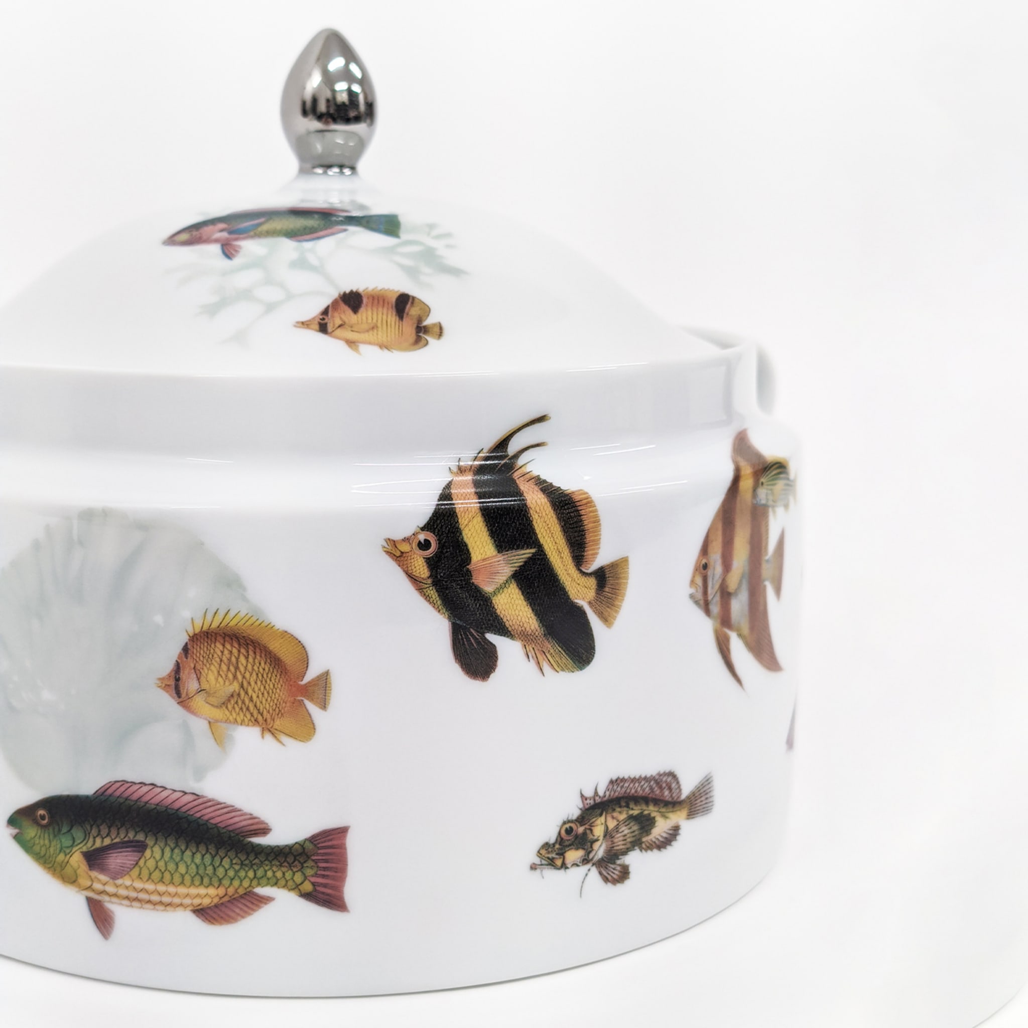 Amami Porcelain Tureen With Tropical Fish - Alternative view 3