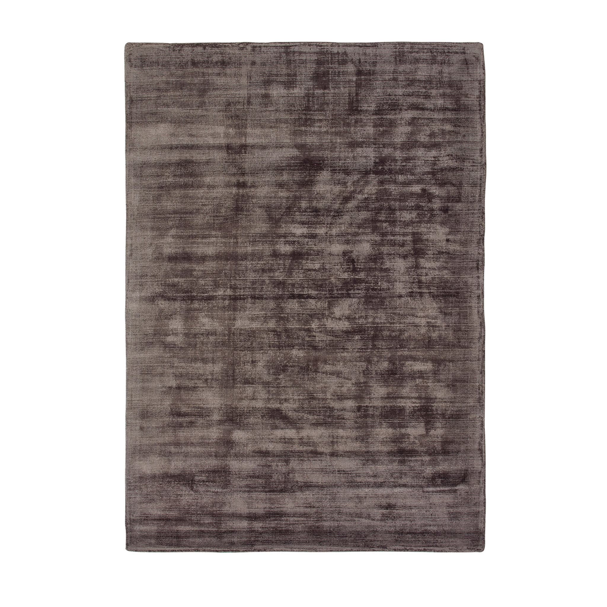 Trendy Shiny Taupe Rug - Main view