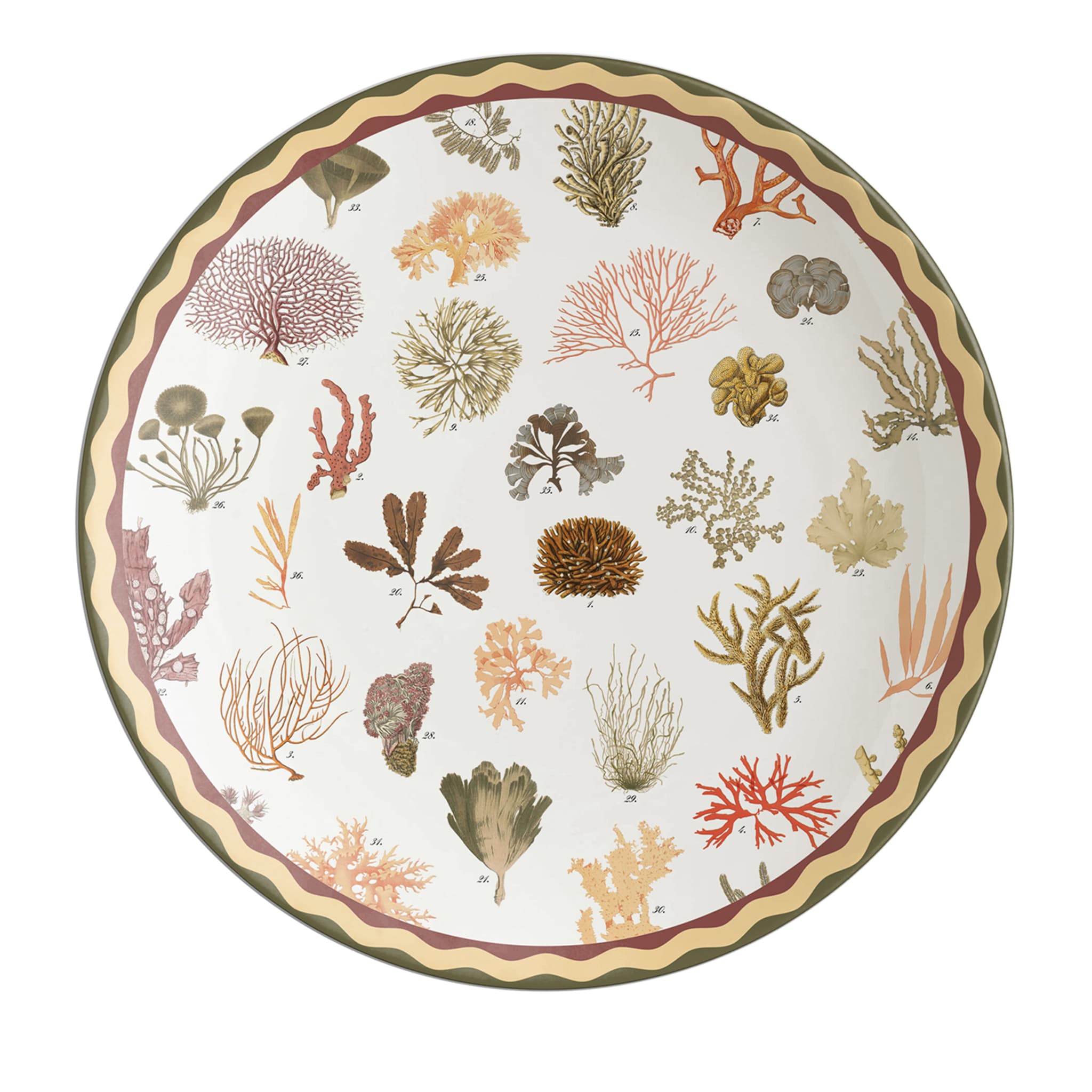 Cabinet De Curiosités Porcelain Charger Plate With Corals - Main view