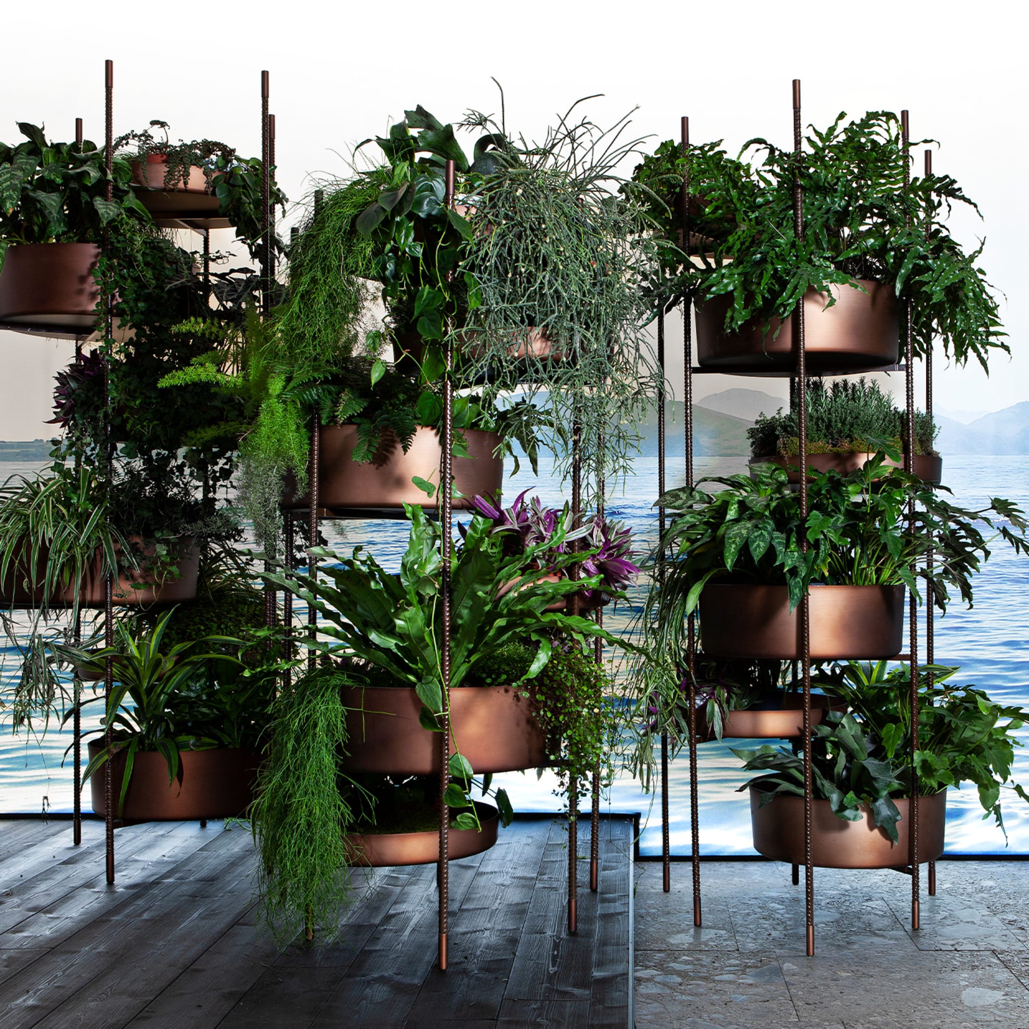 10th Vertical Garden Low by Massimo Castagna - Alternative view 5