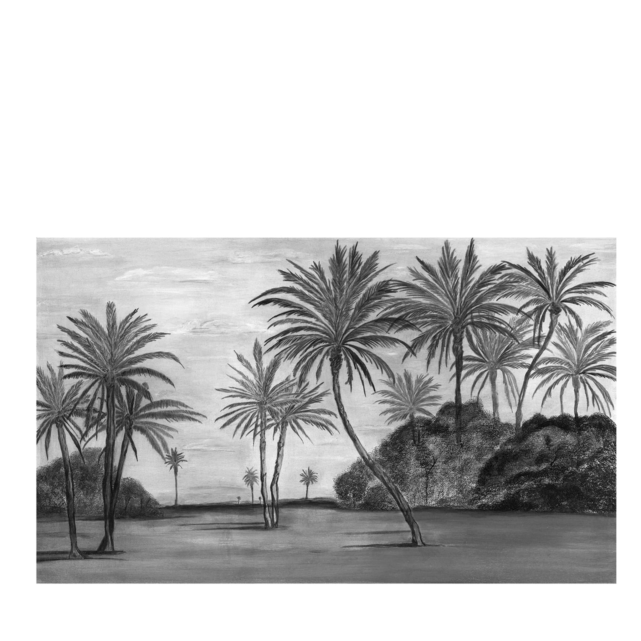 Papel pintado Desierto en blanco y negro - Vista principal