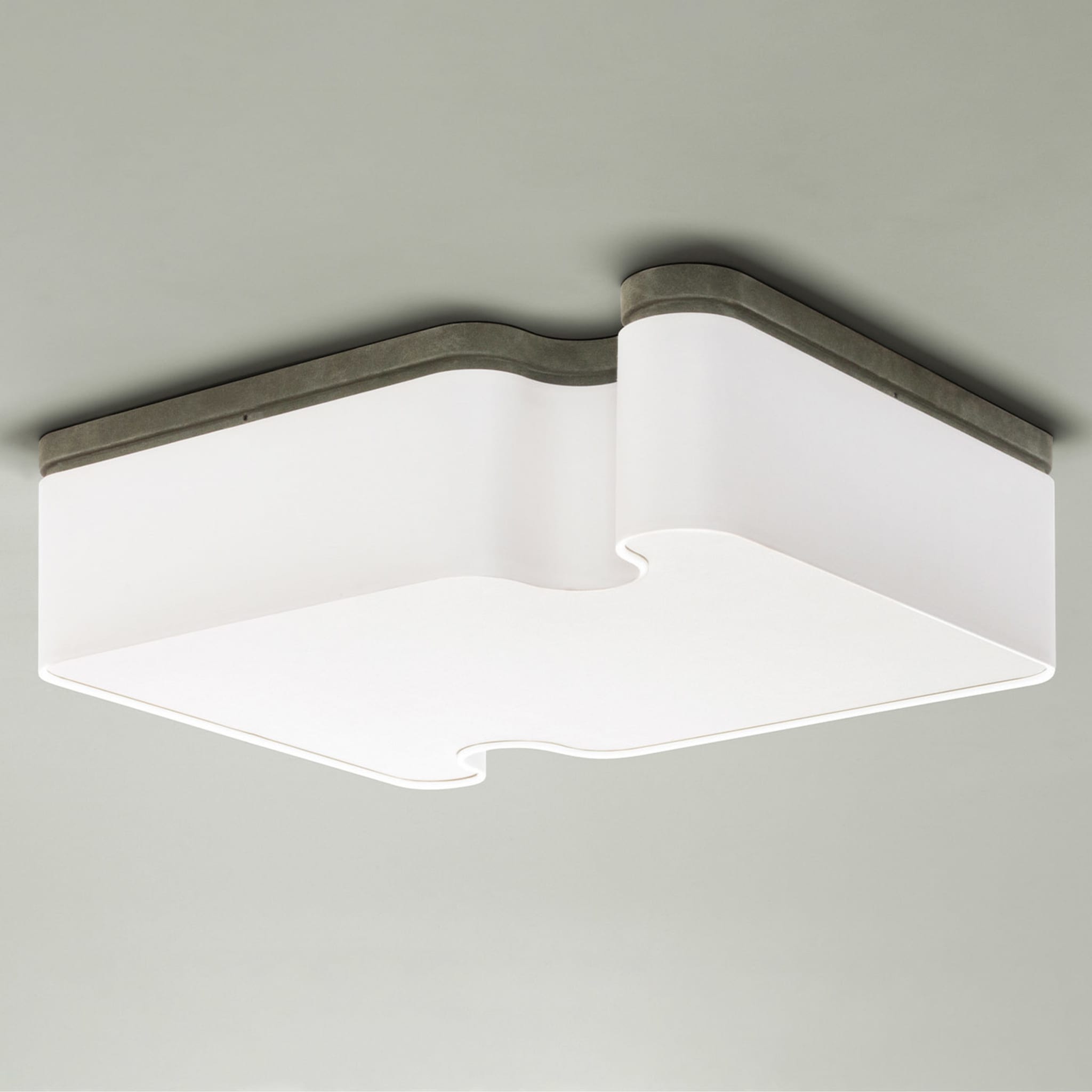 Ossicle Ceiling Lamp - Alternative view 2