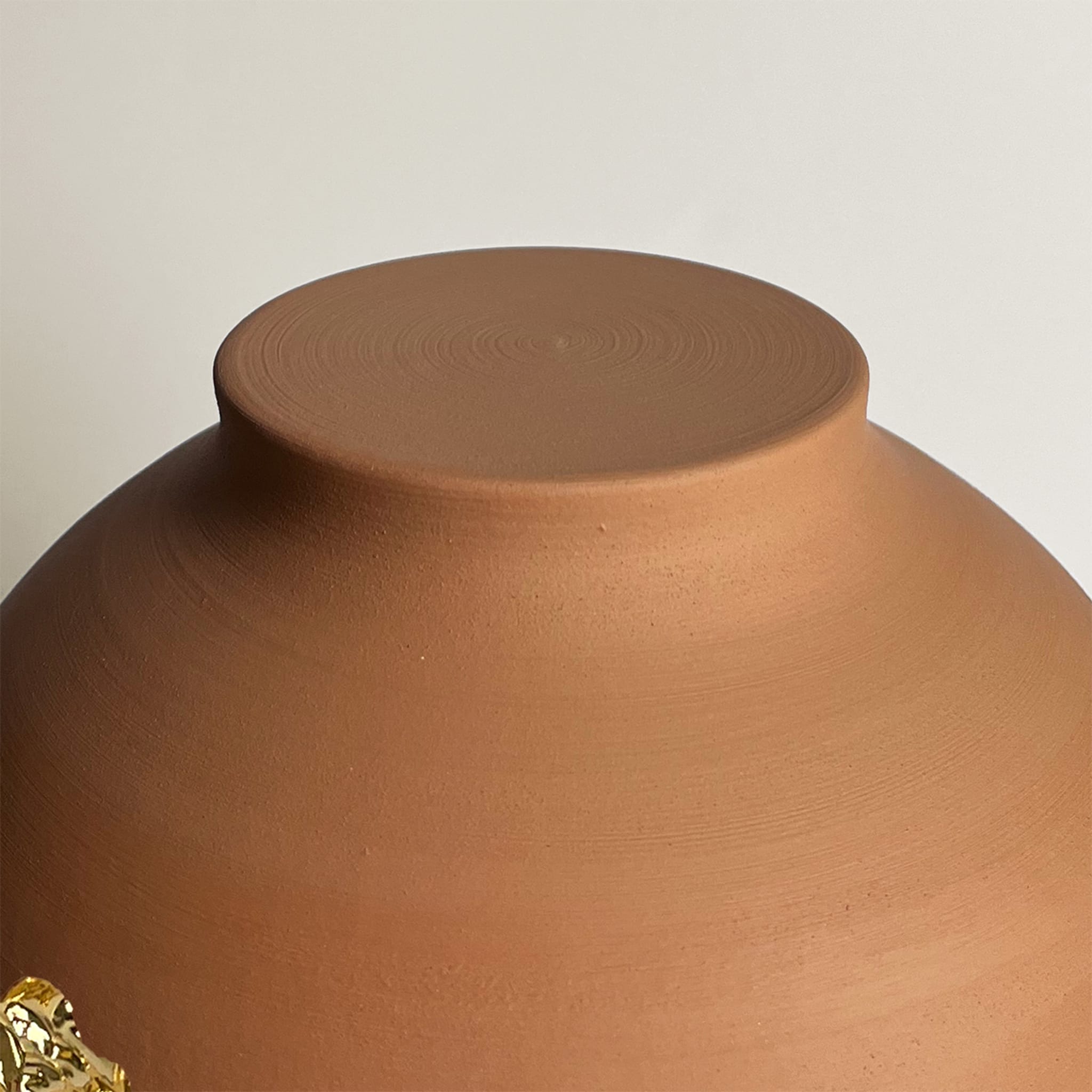 Intro Terracotta Vase - Alternative view 4