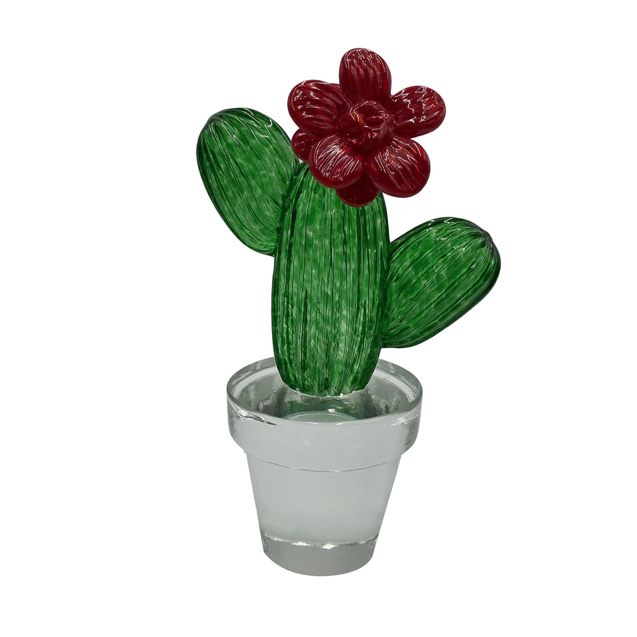 Cactus di vetro con fiore rosso - Vista principale