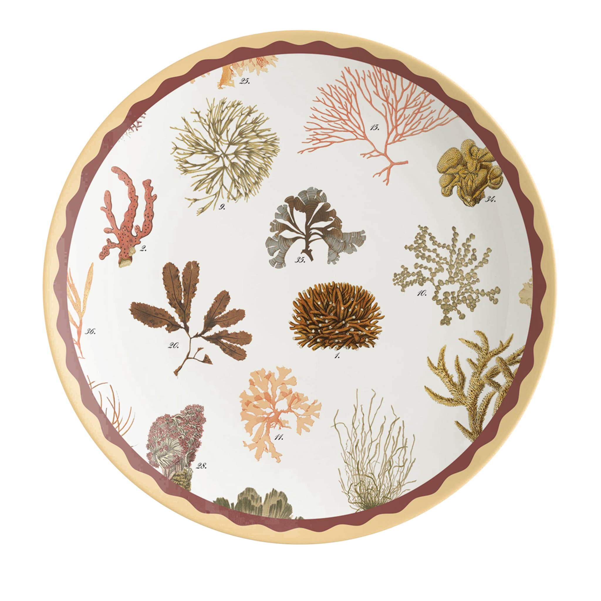 Cabinet De Curiosités Set Of 2 Porcelain Dessert Plates With Corals - Main view