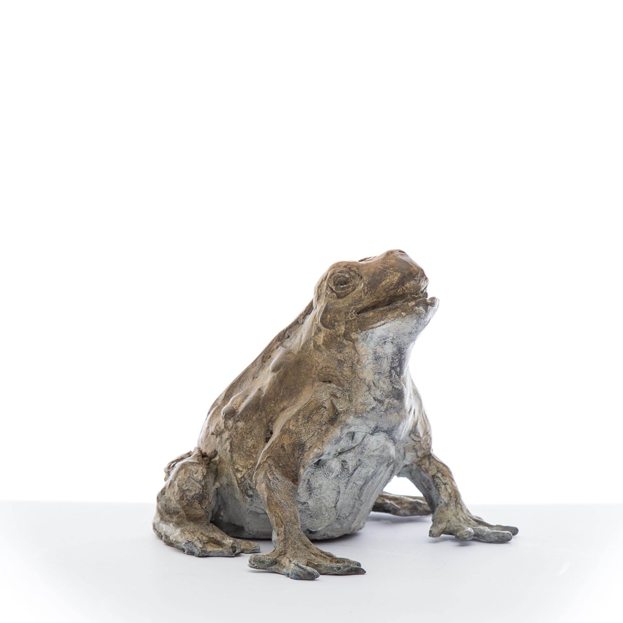 Small Frog Sculpture - Alternative view 1