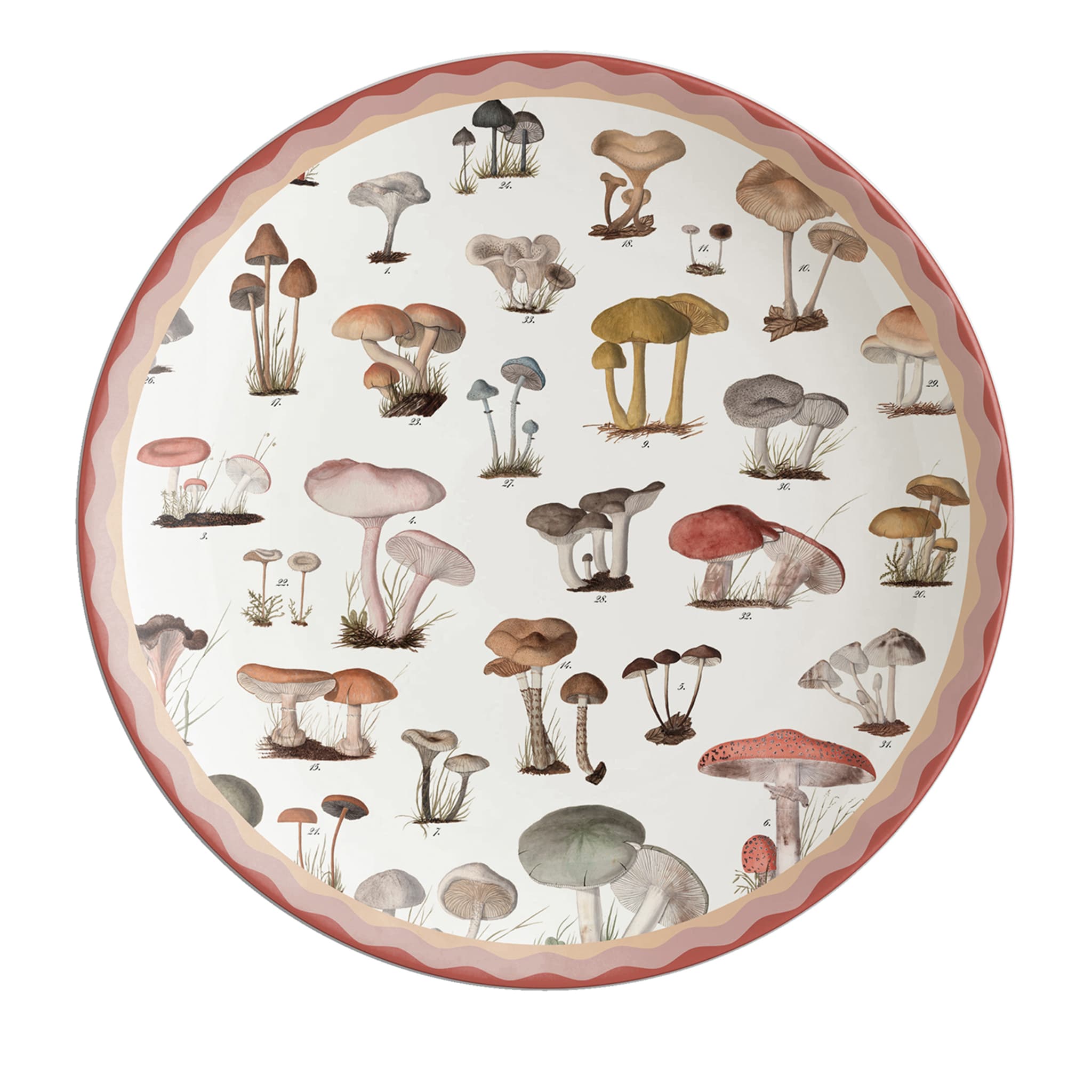 Cabinet De Curiosités Porcelain Charger Plate With Mushrooms - Main view