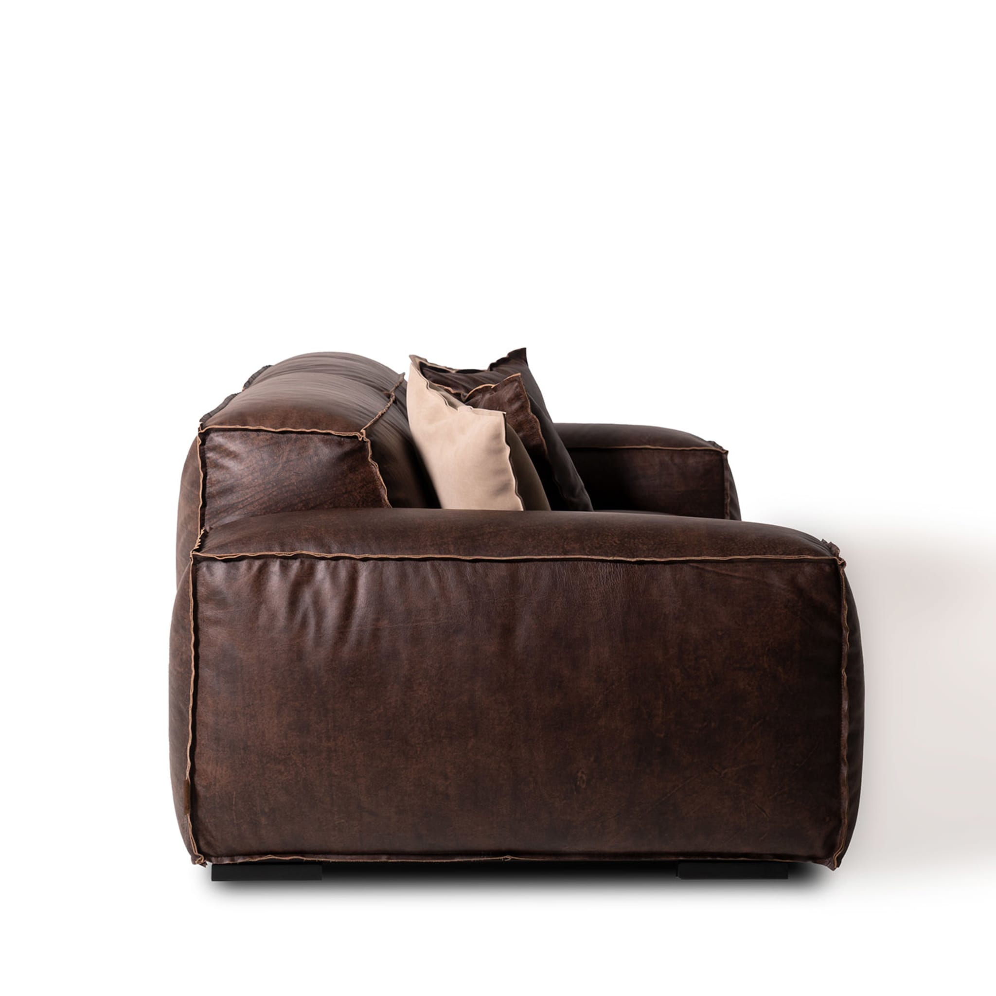 Placido 2 Seater Sofa Maxi by Marco and Giulio Mantellassi  - Alternative view 2