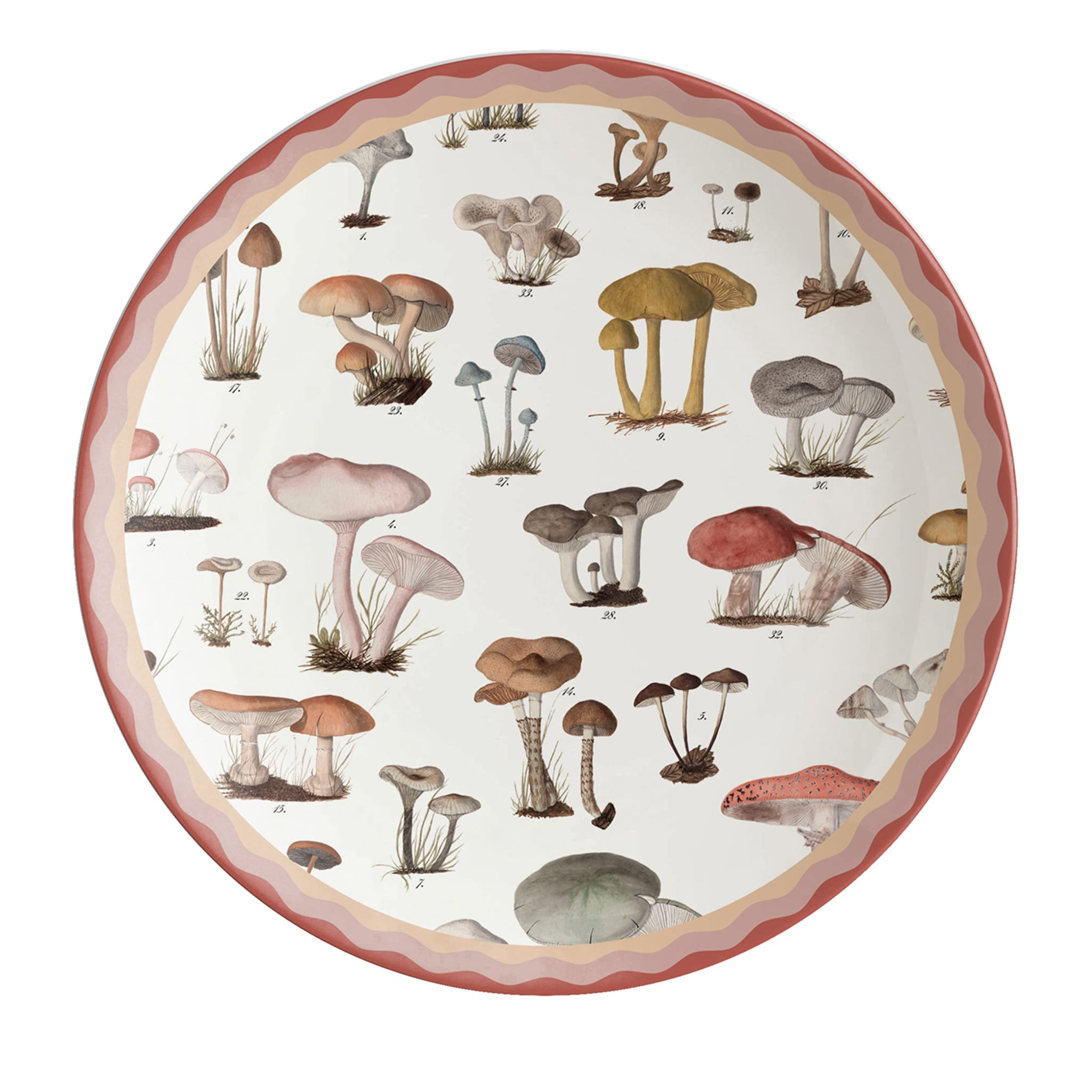 Cabinet De Curiosités Porcelain Dinner Plate With Mushrooms - Main view