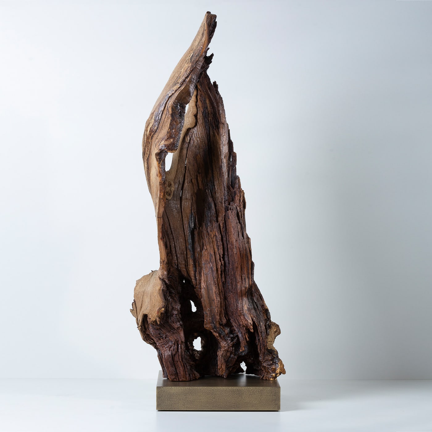 Per Mulieres II Brown Sculpture Omnibus Design - Artemest