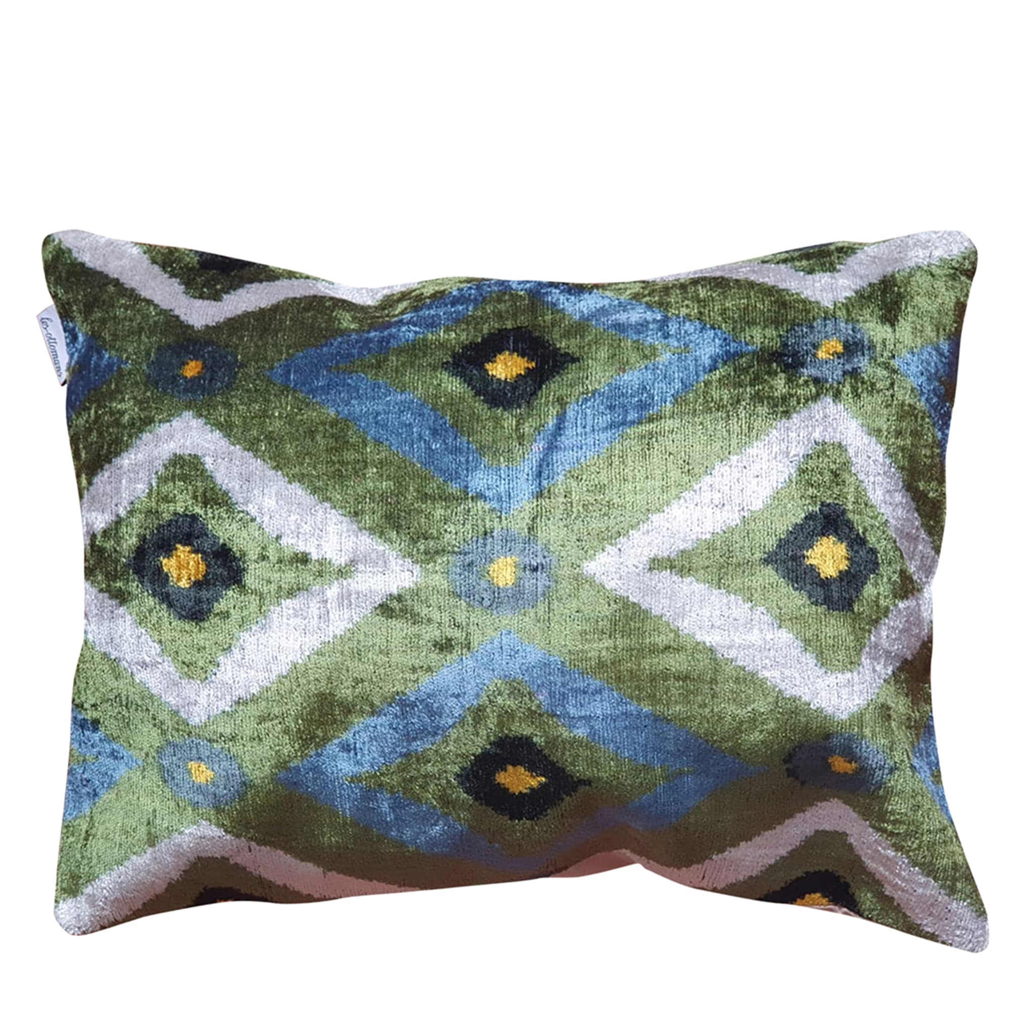 Silk velvet outlet cushions