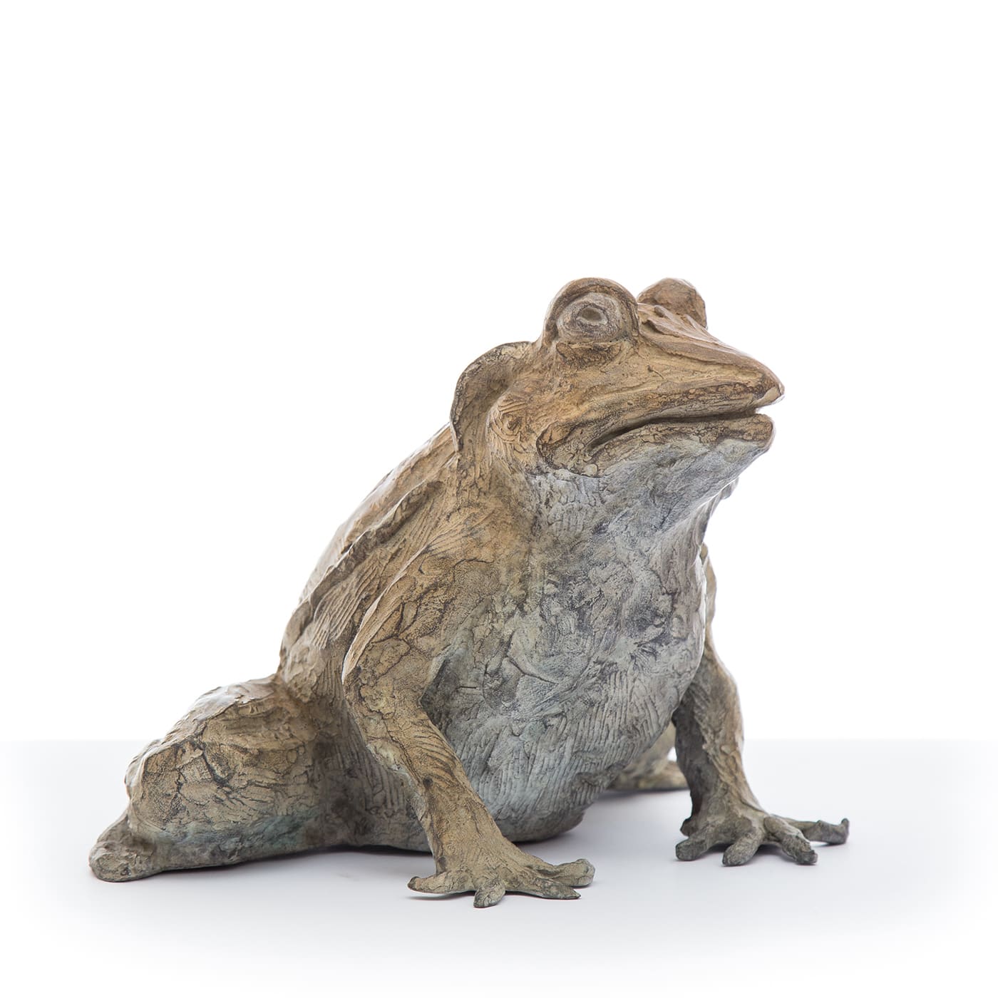 Huge Selection of Toad & Frog Sculptures