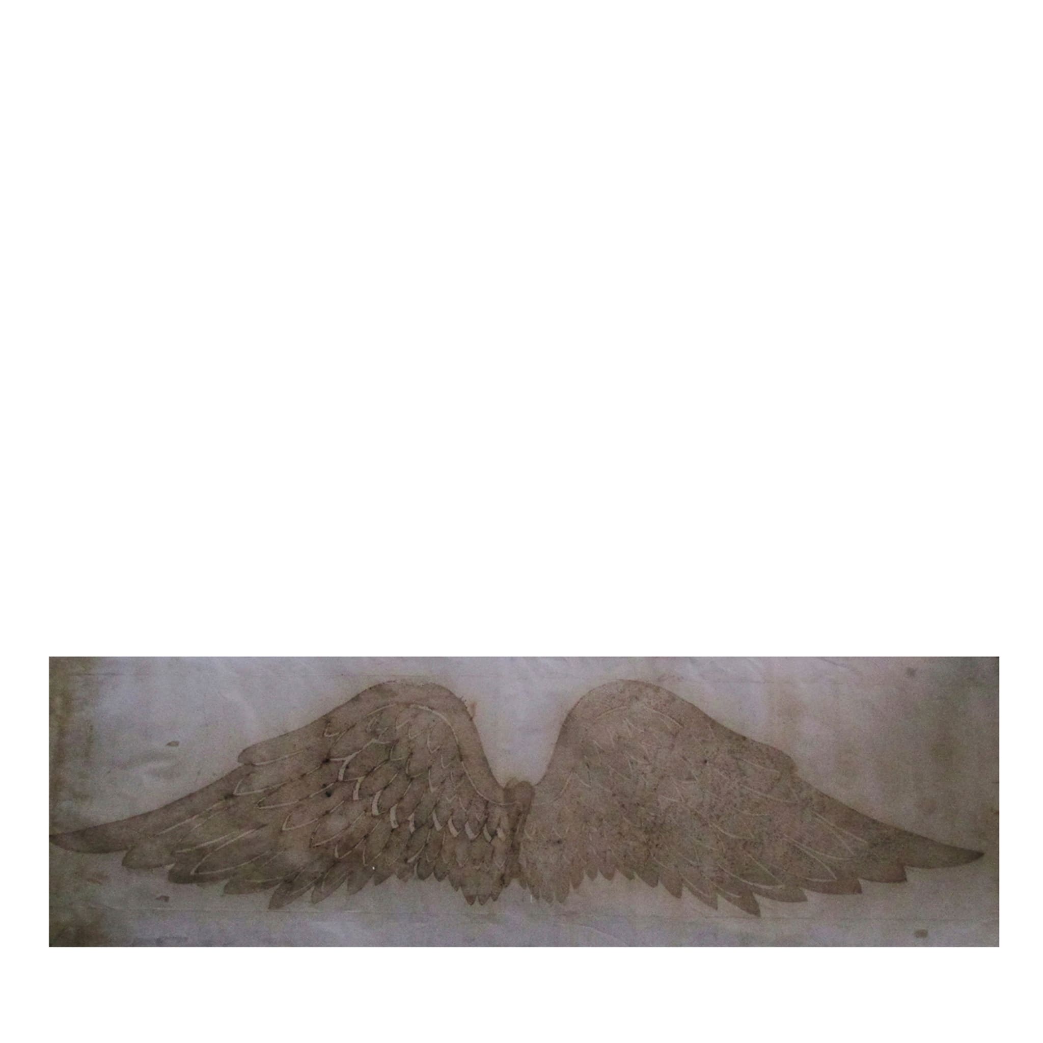 Peinture des ailes #1 - Vue principale