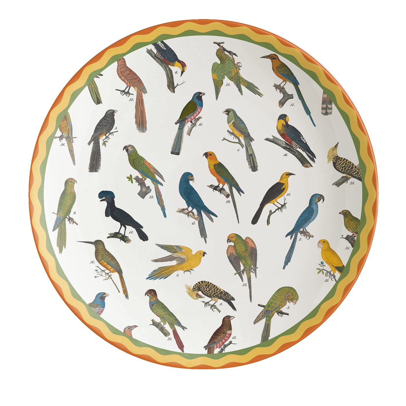 Cabinet de Curiosités Birds Charger Plate - Grand Tour by Vito Nesta