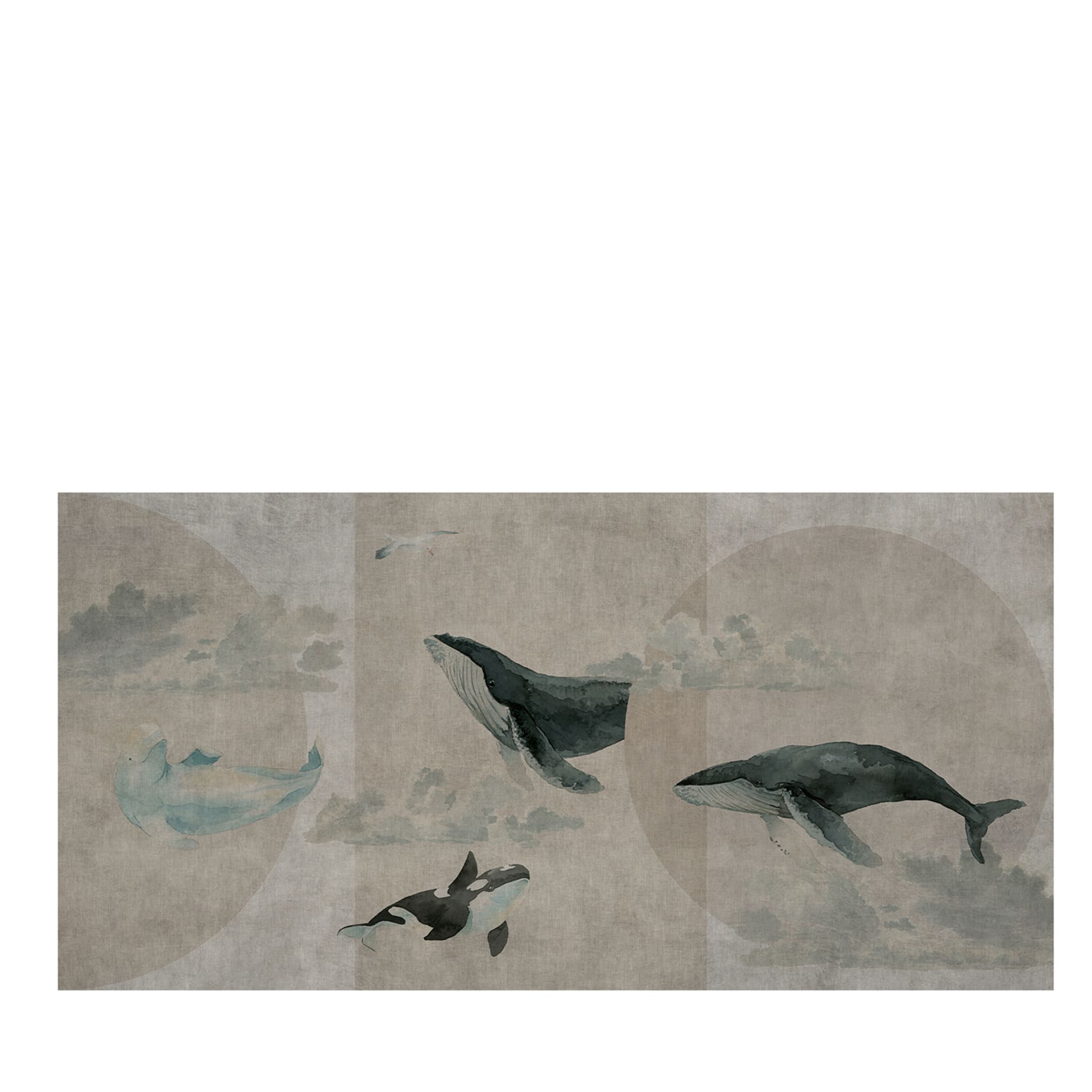Fond d'écran Baleines - Vue principale