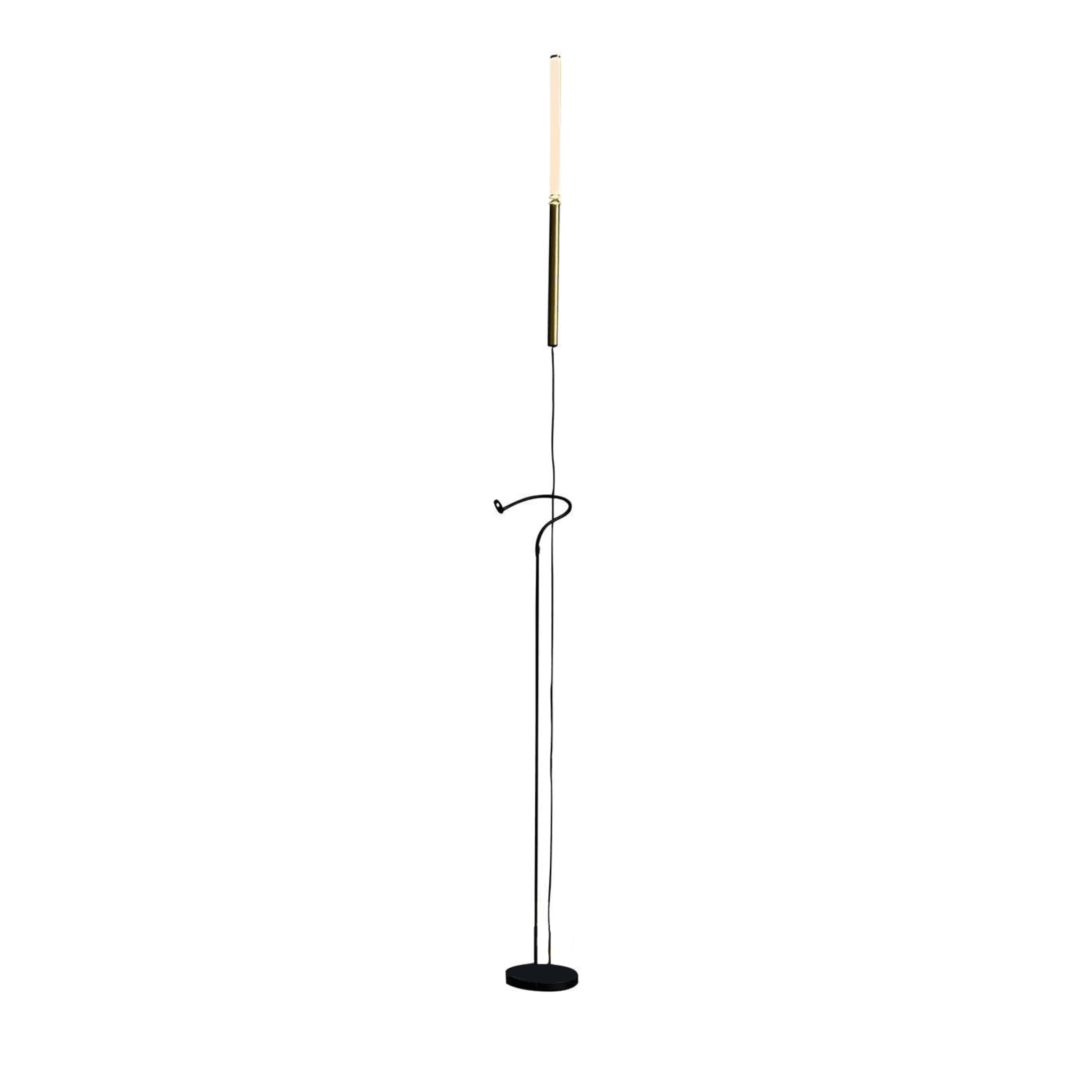Equilibrio Floor Lamp with Servoluce - Main view