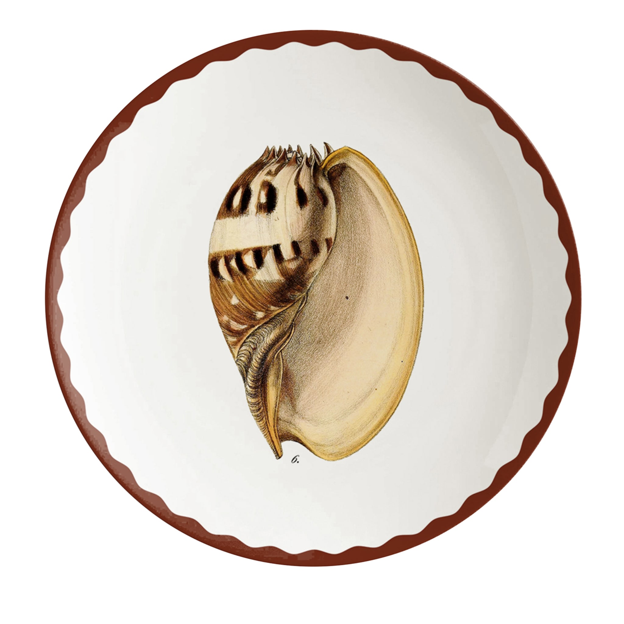 Cabinet De Curiosités Set Of 2 Porcelain Bread Plates With Shells - Main view