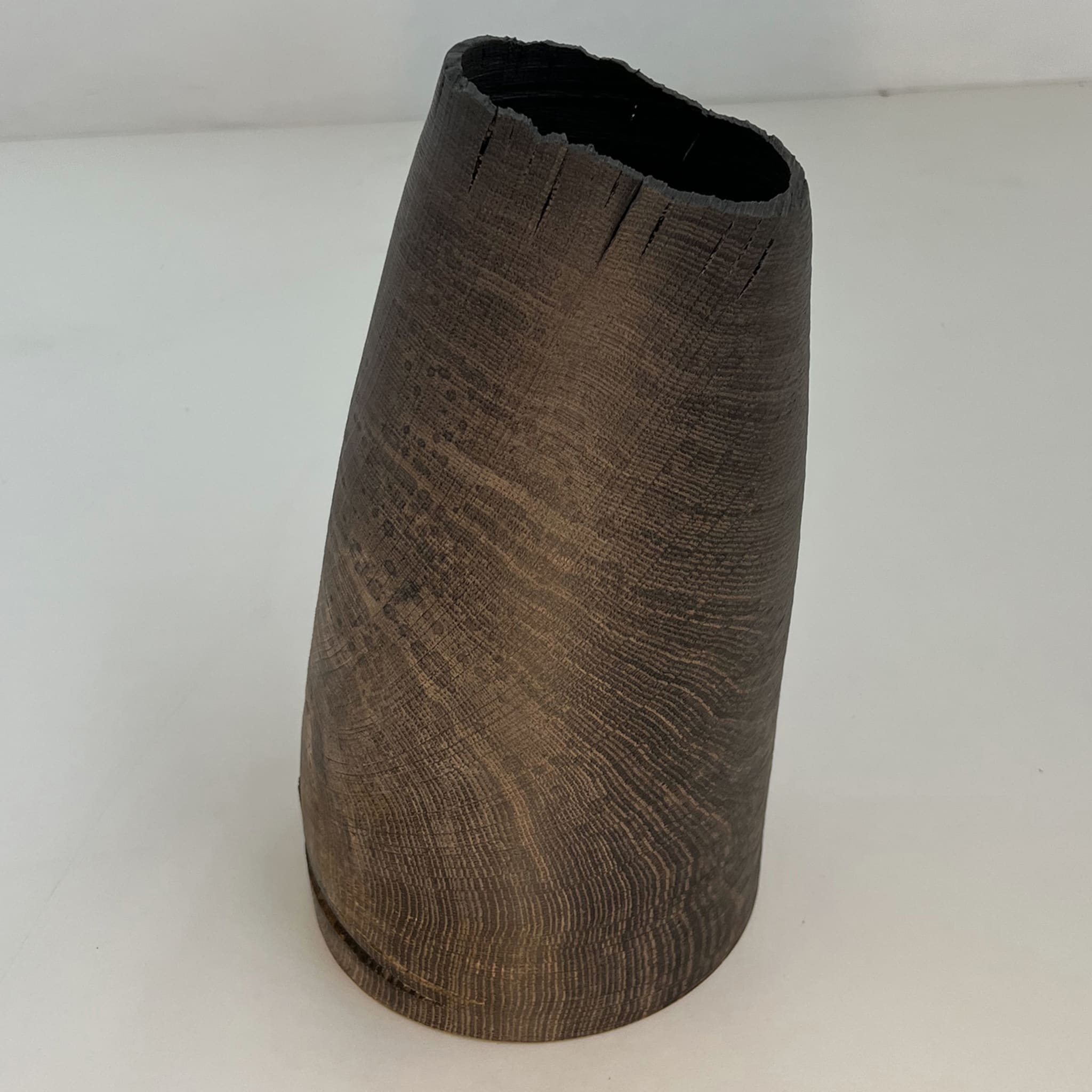 Fossil Oak Hollow Vase #2 - Alternative view 3