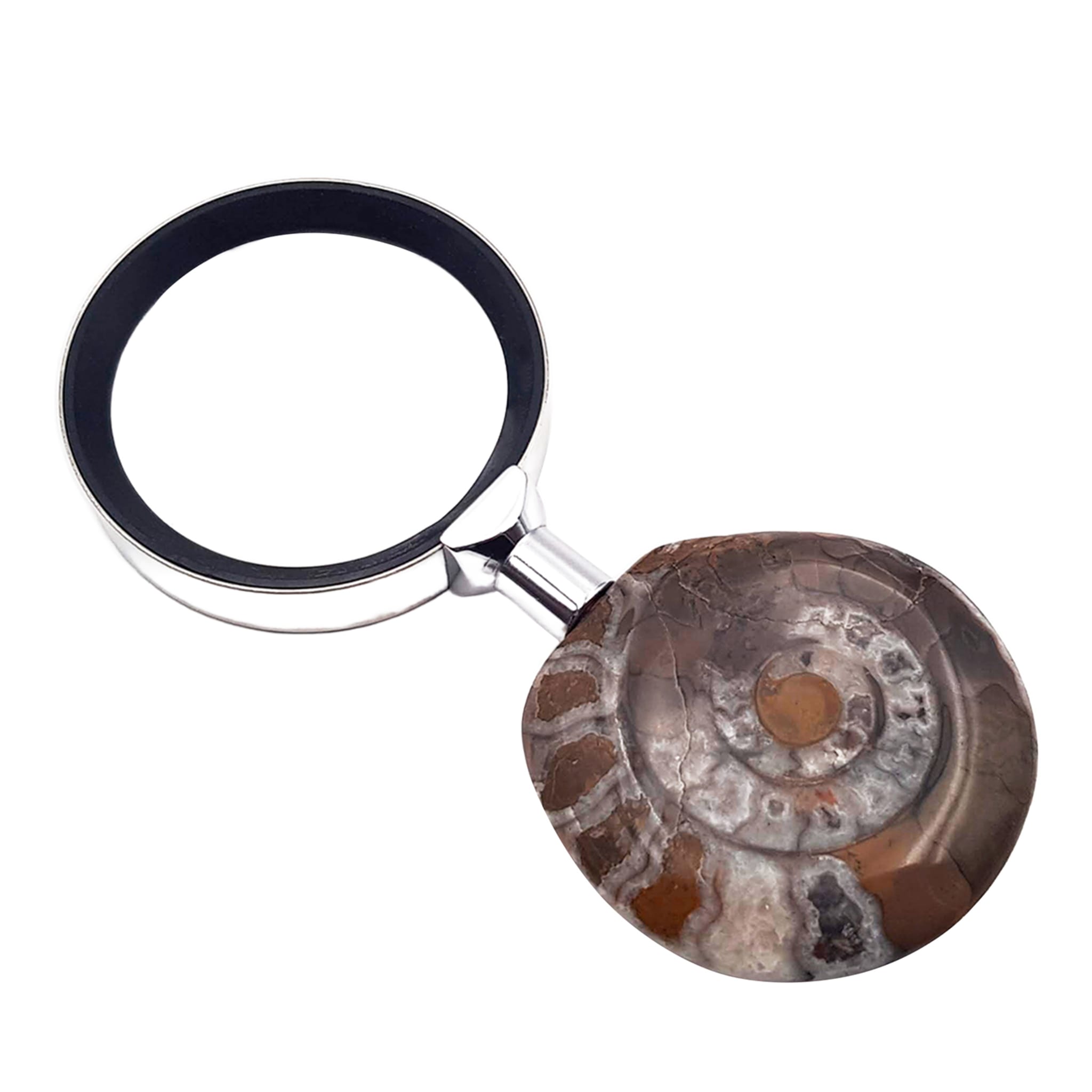 Ammonite Magnifying Glass by Nino Basso #2 - Main view
