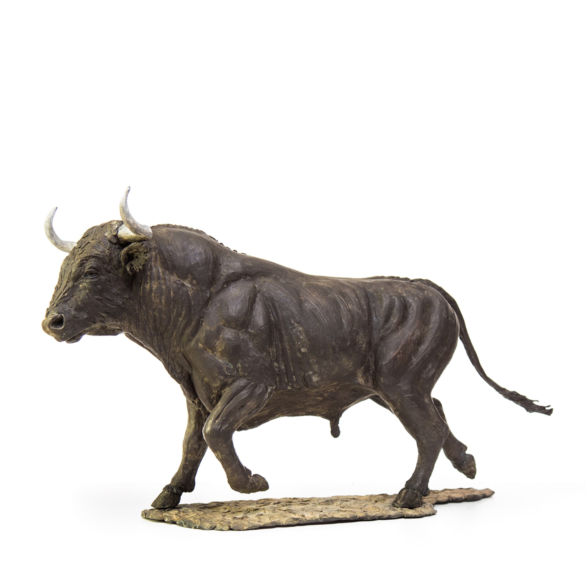 Escultura de toro de Miura - Vista alternativa 5