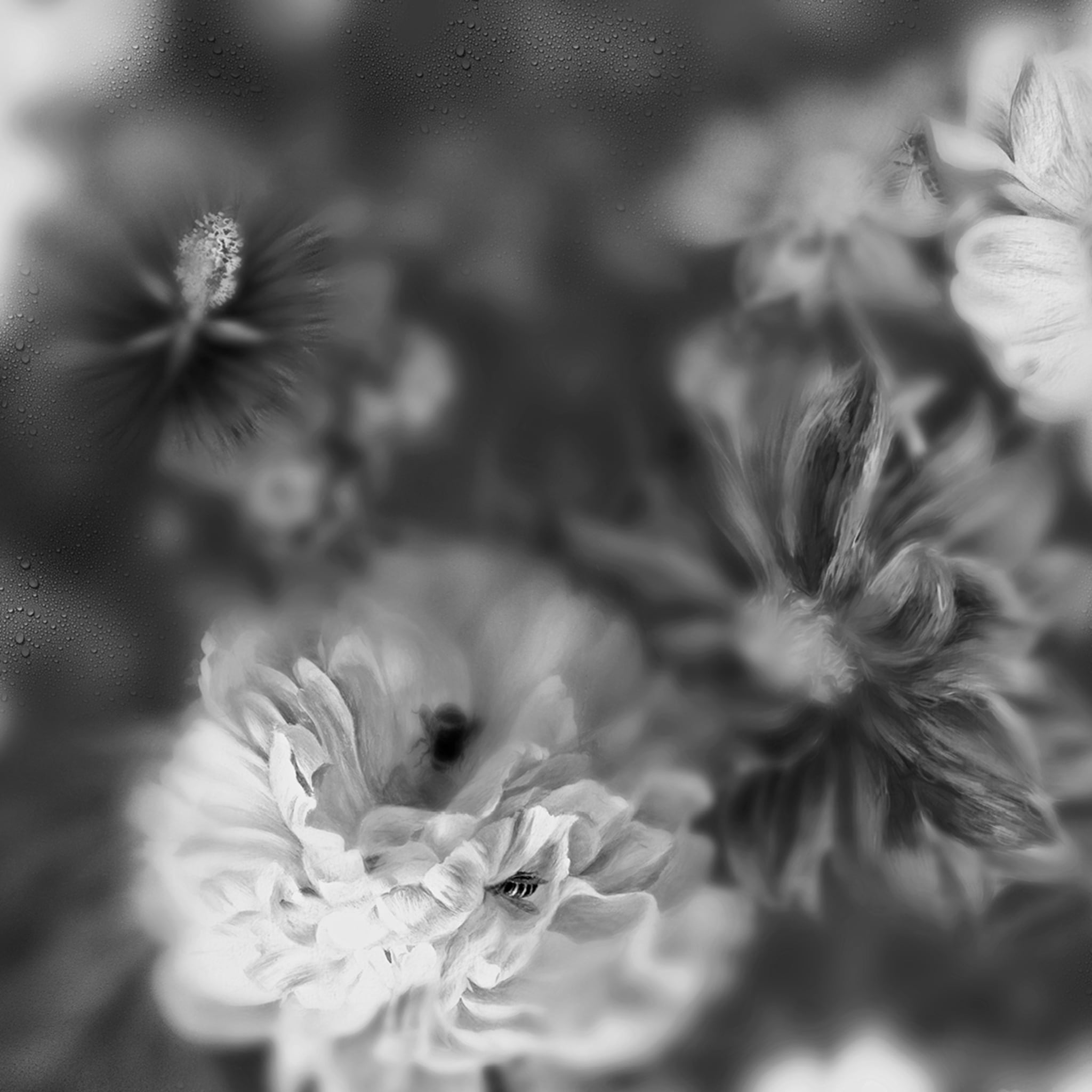 Blossom Schwarz &amp; Weiß Tapete  - Alternative Ansicht 1