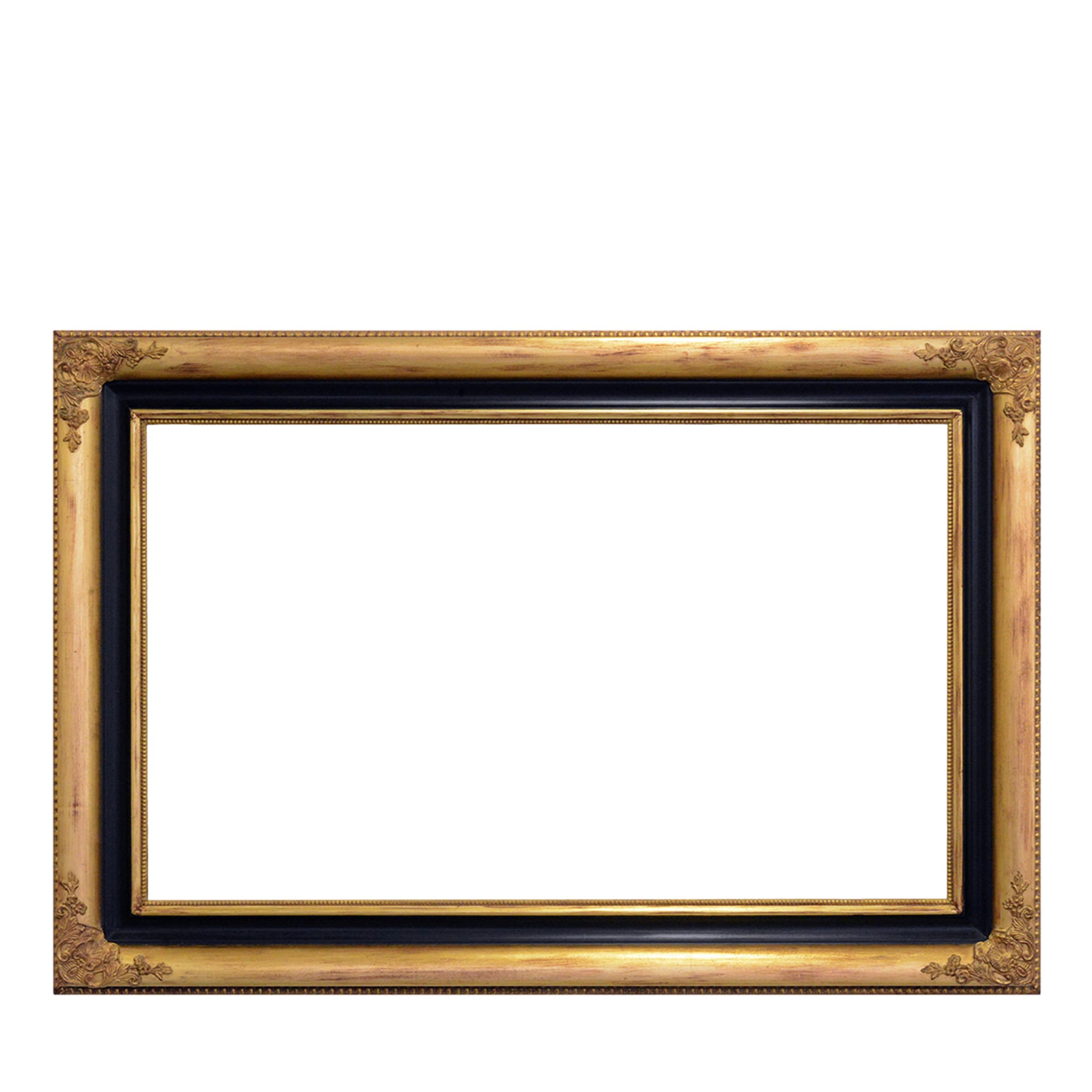 Salvator Rosa Frame #2 - Main view