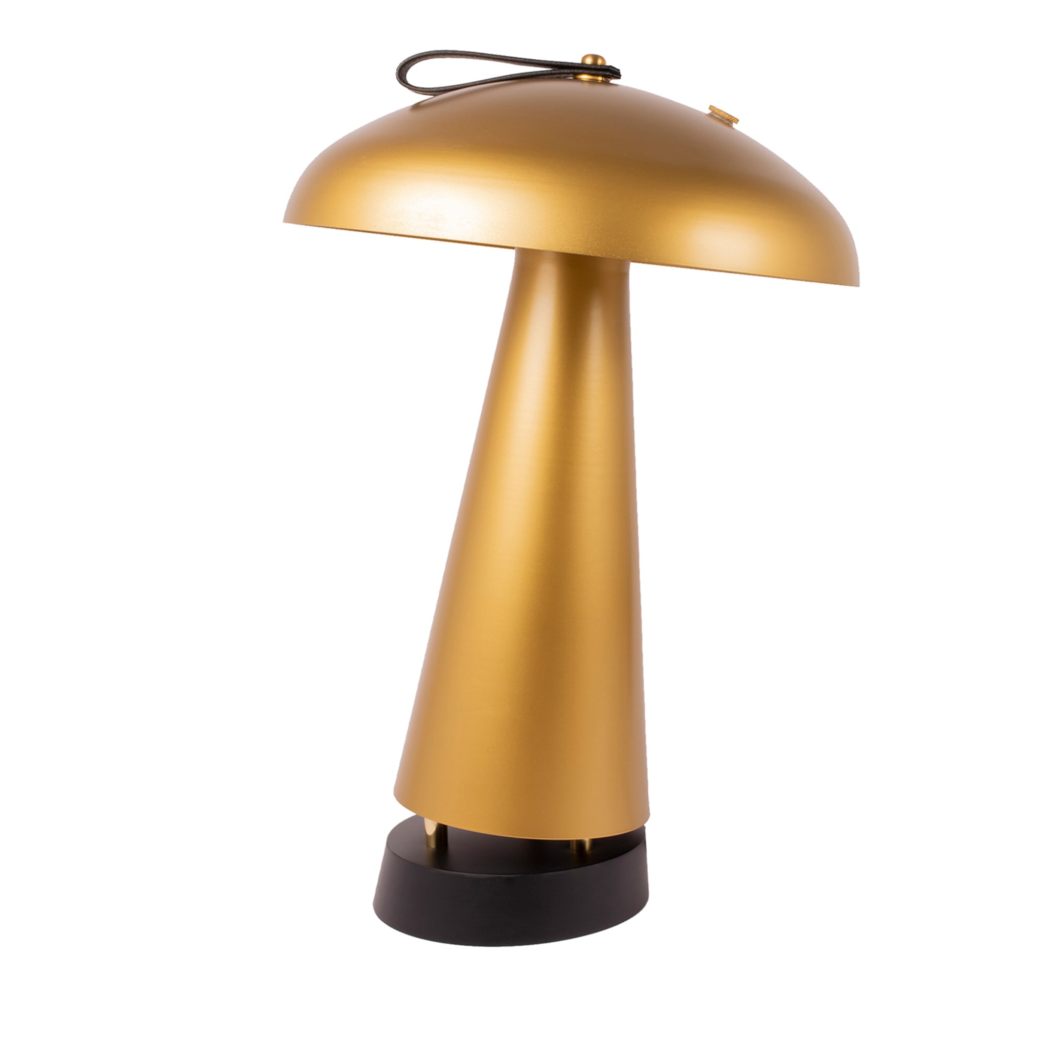 Serena Pisana Gold Table Lamp - Main view