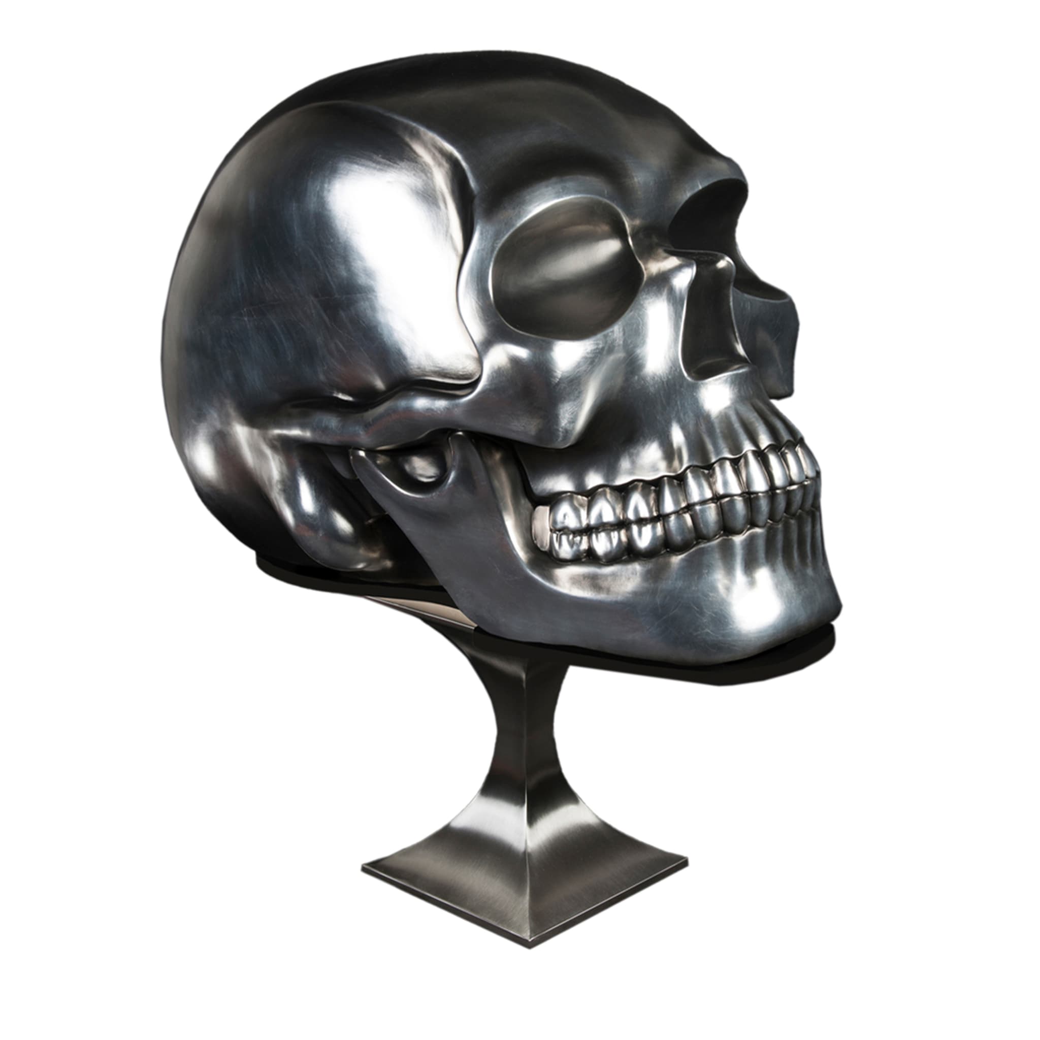 Sculpture de crâne noir et argent - Vue principale